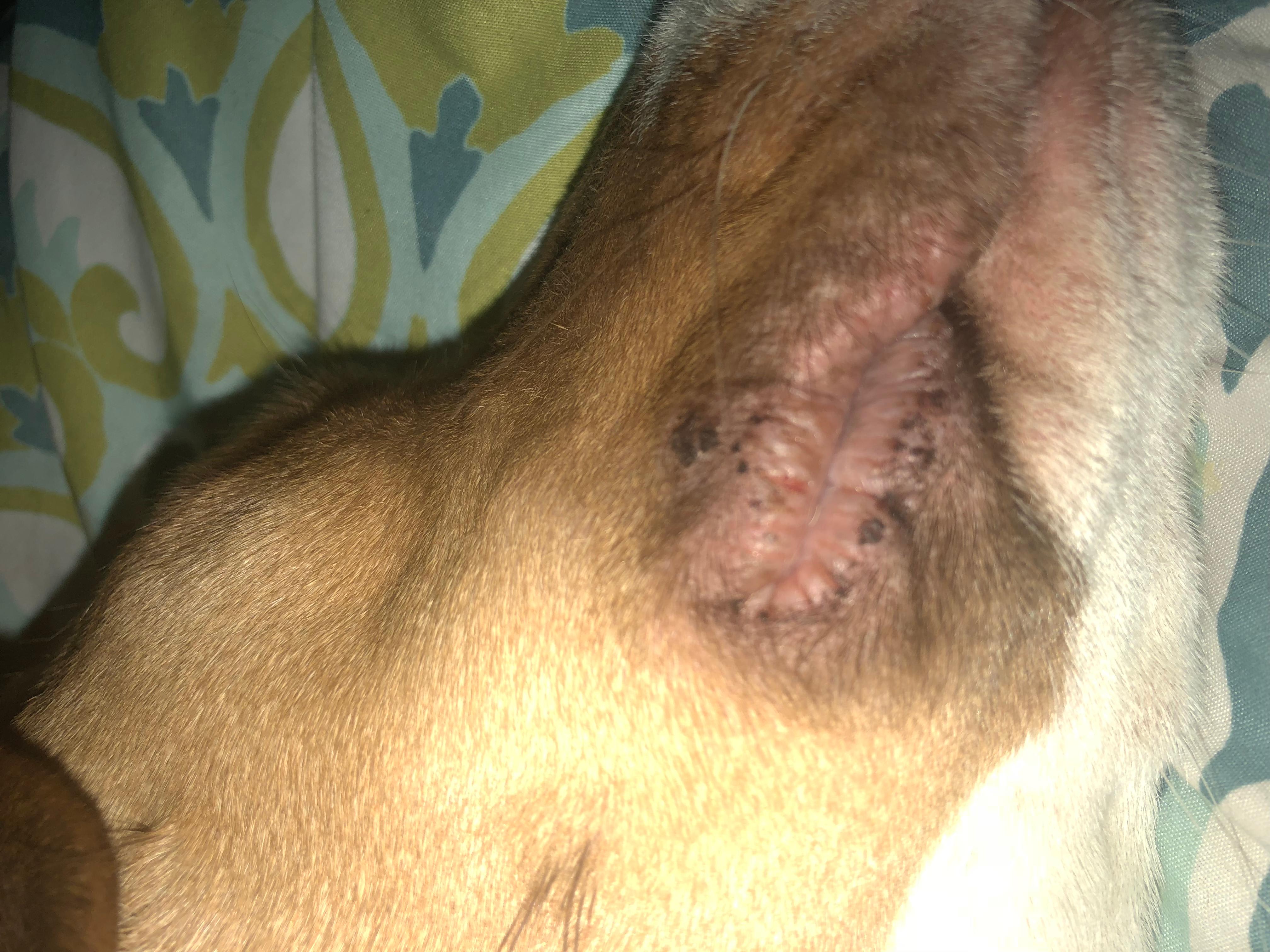 Question details sensitive content