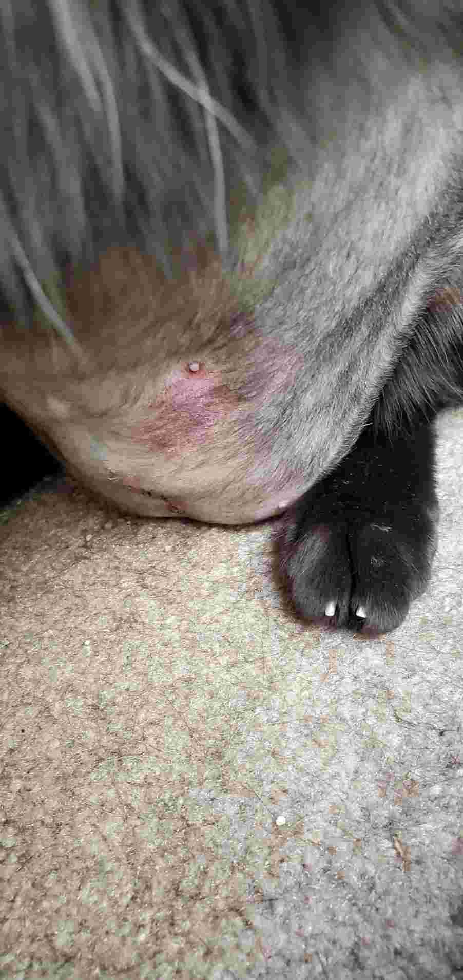 Question details sensitive content