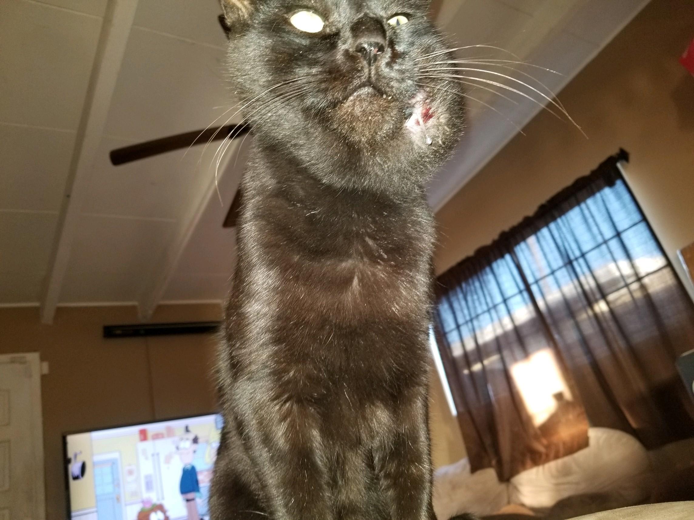 Question details sensitive content