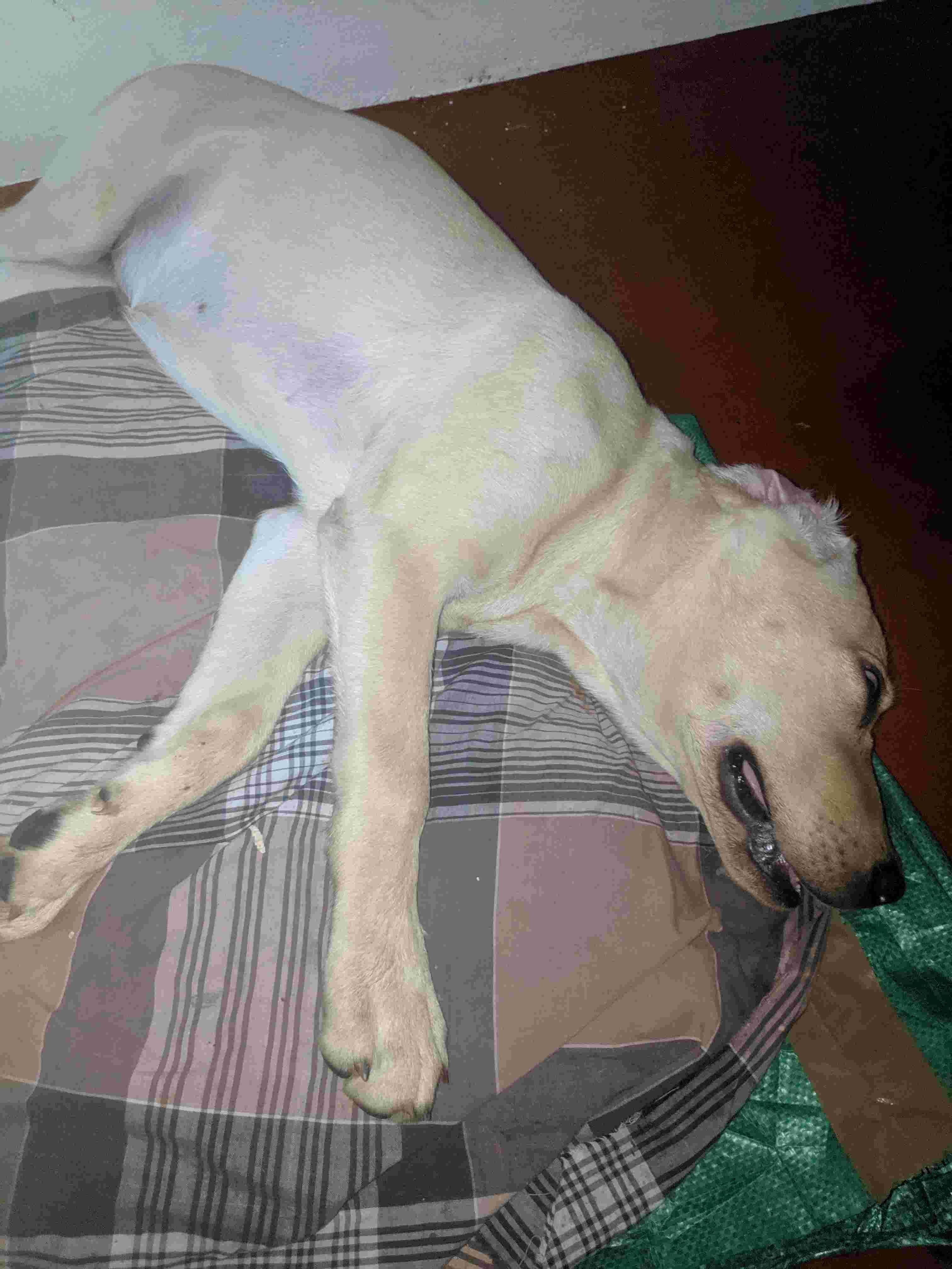 Question details sensitive content