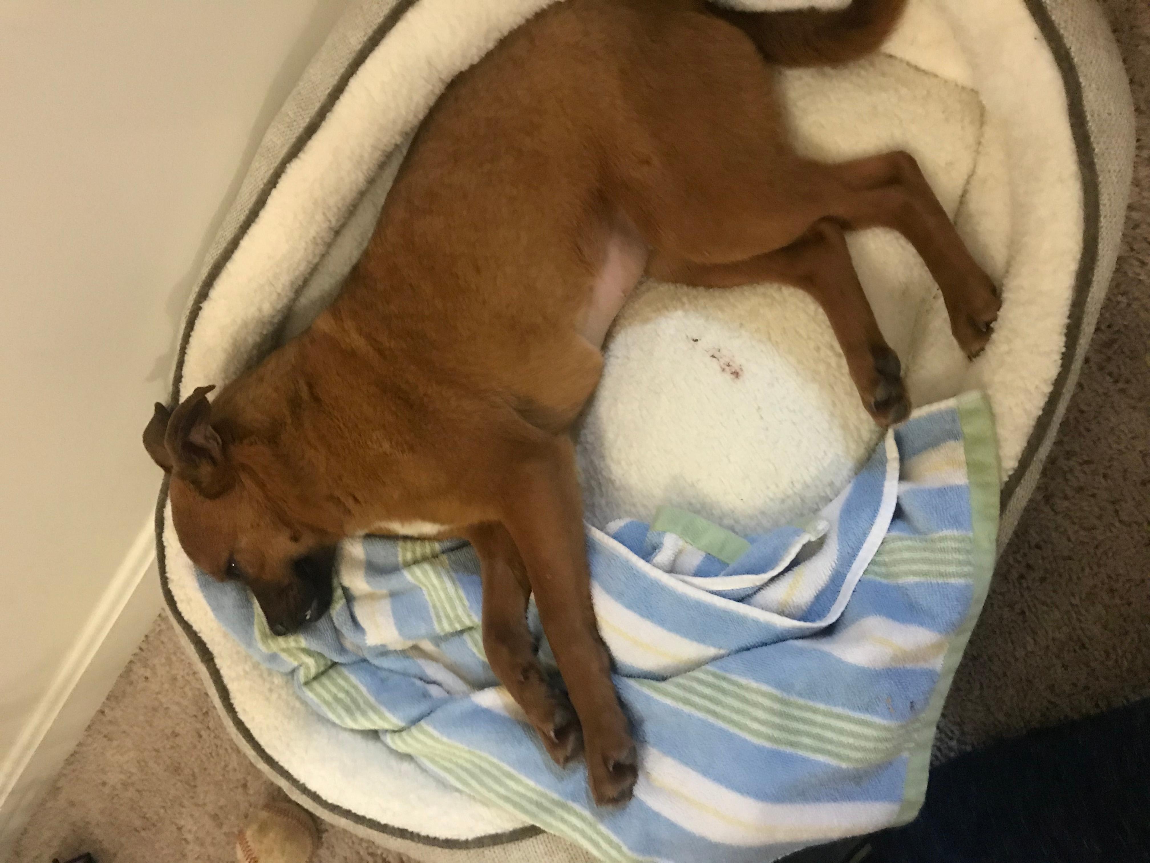 Question details sensitive content