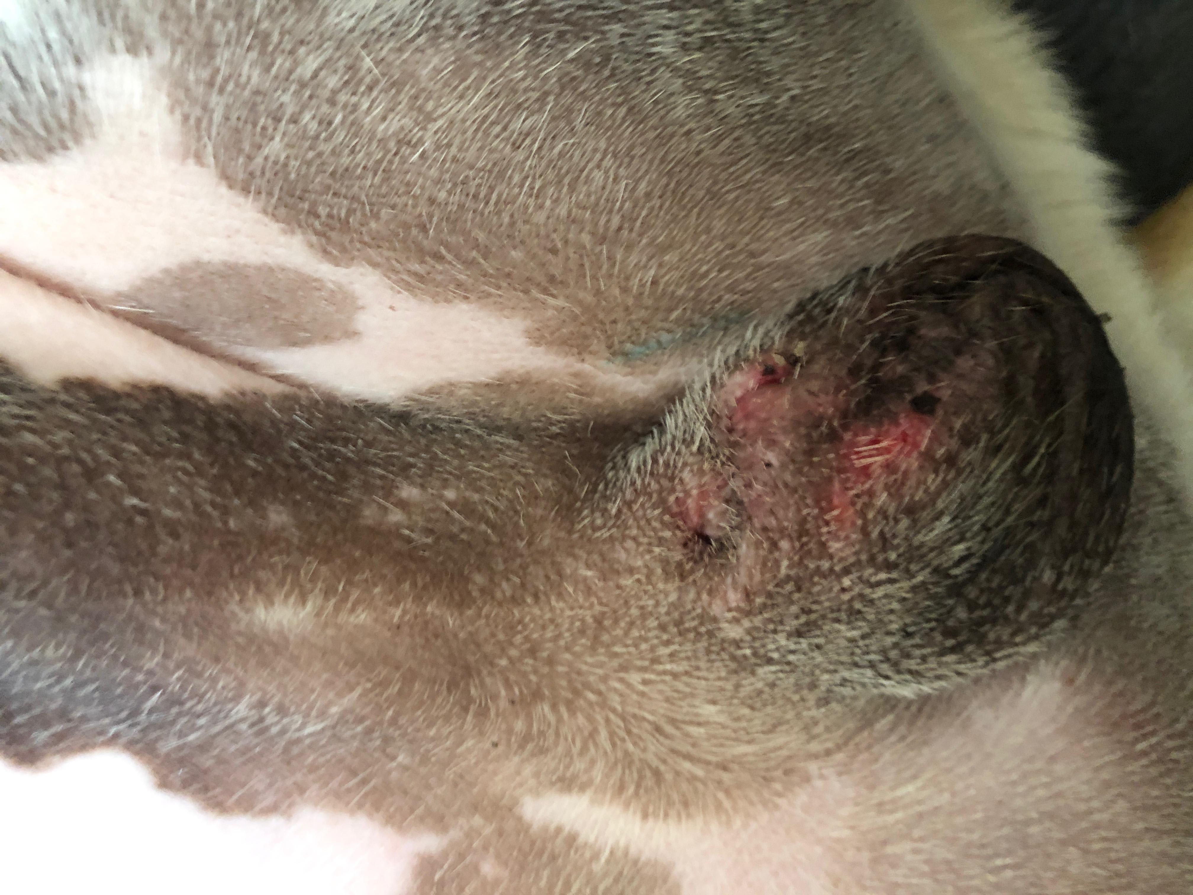 Question details sensitive content