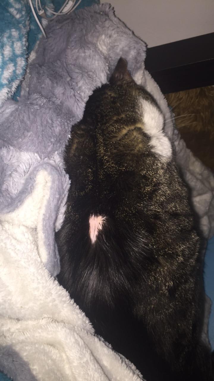 Question details sensitive content