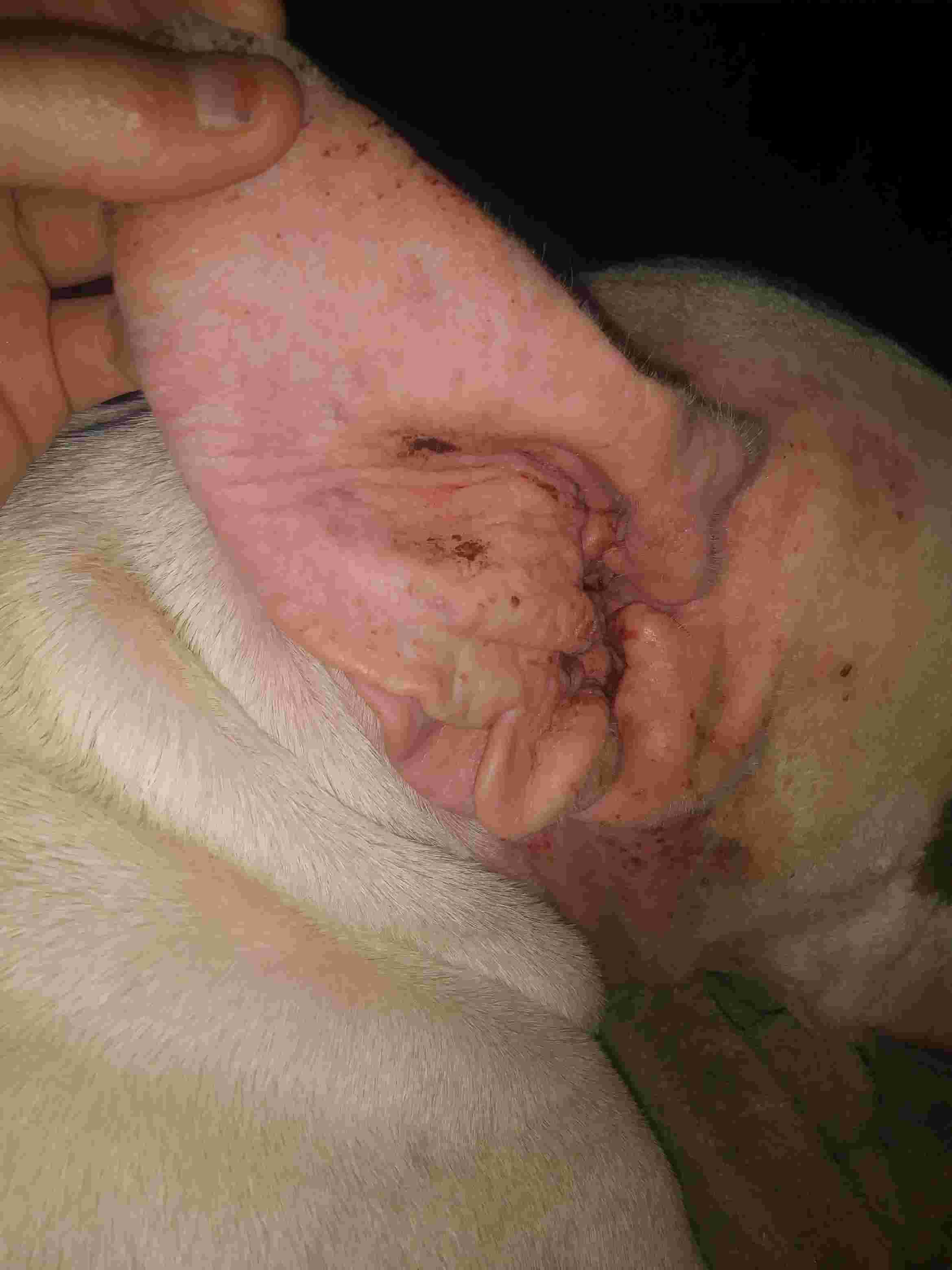 Question details sensitive content