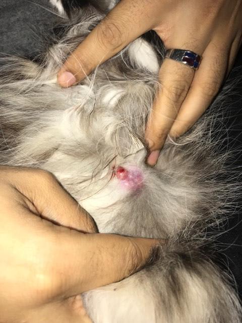 Question details sensitive content