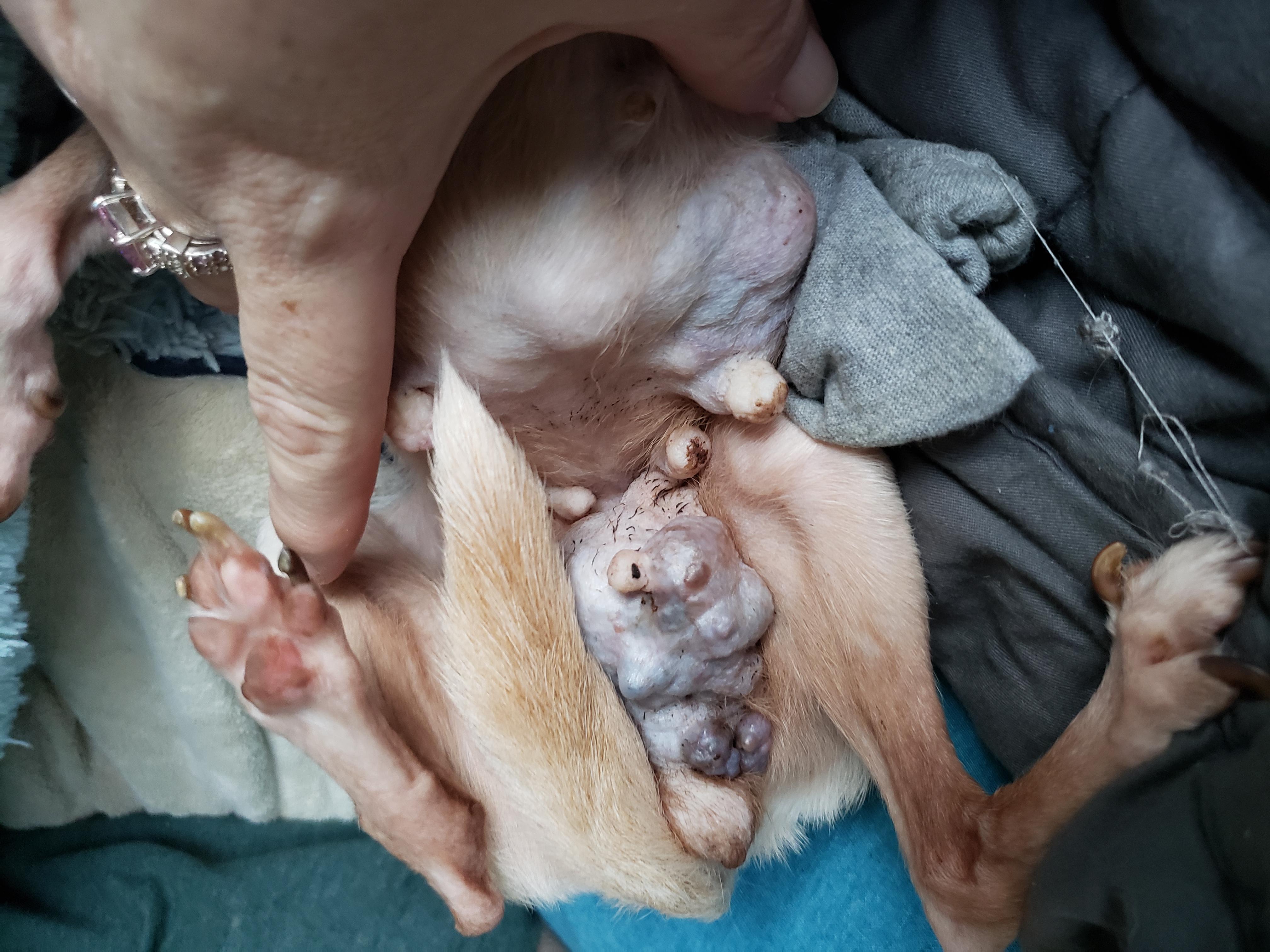 Question details sensitive content