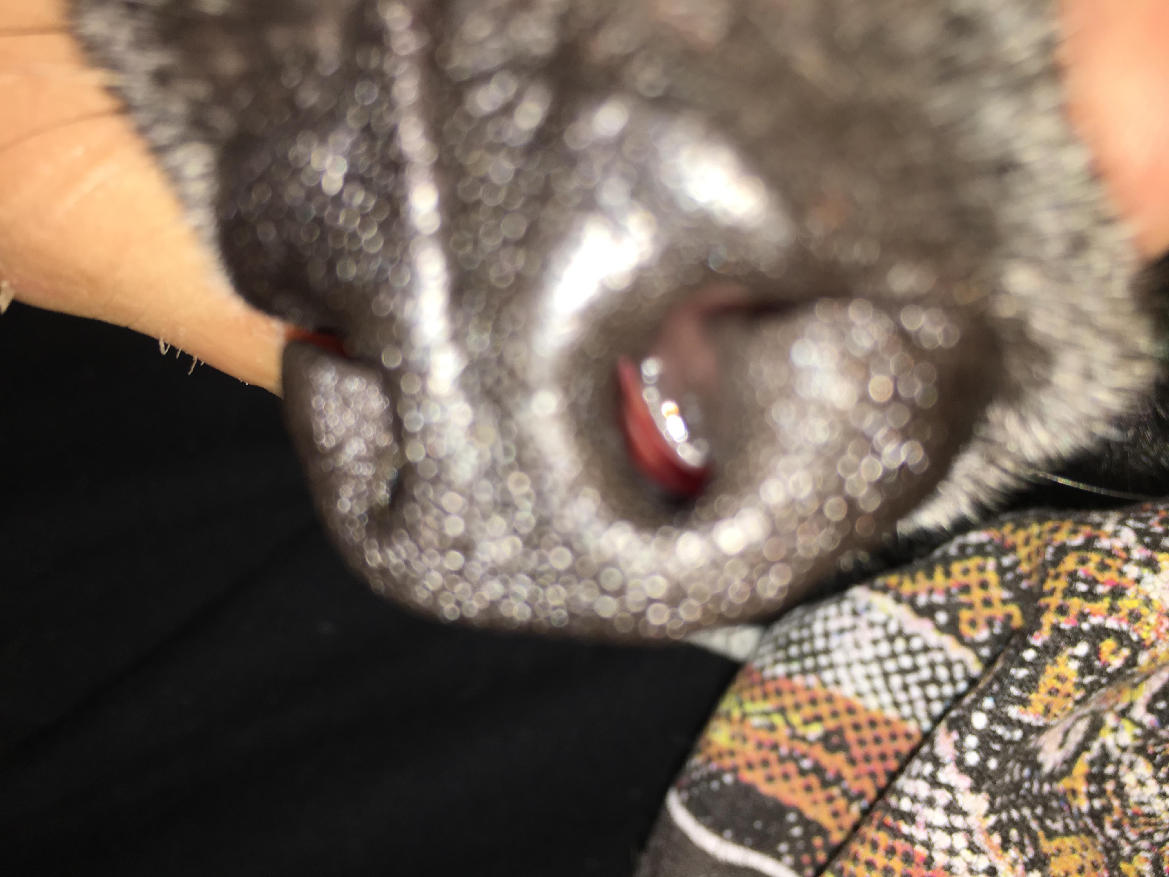 Question details sensitive content