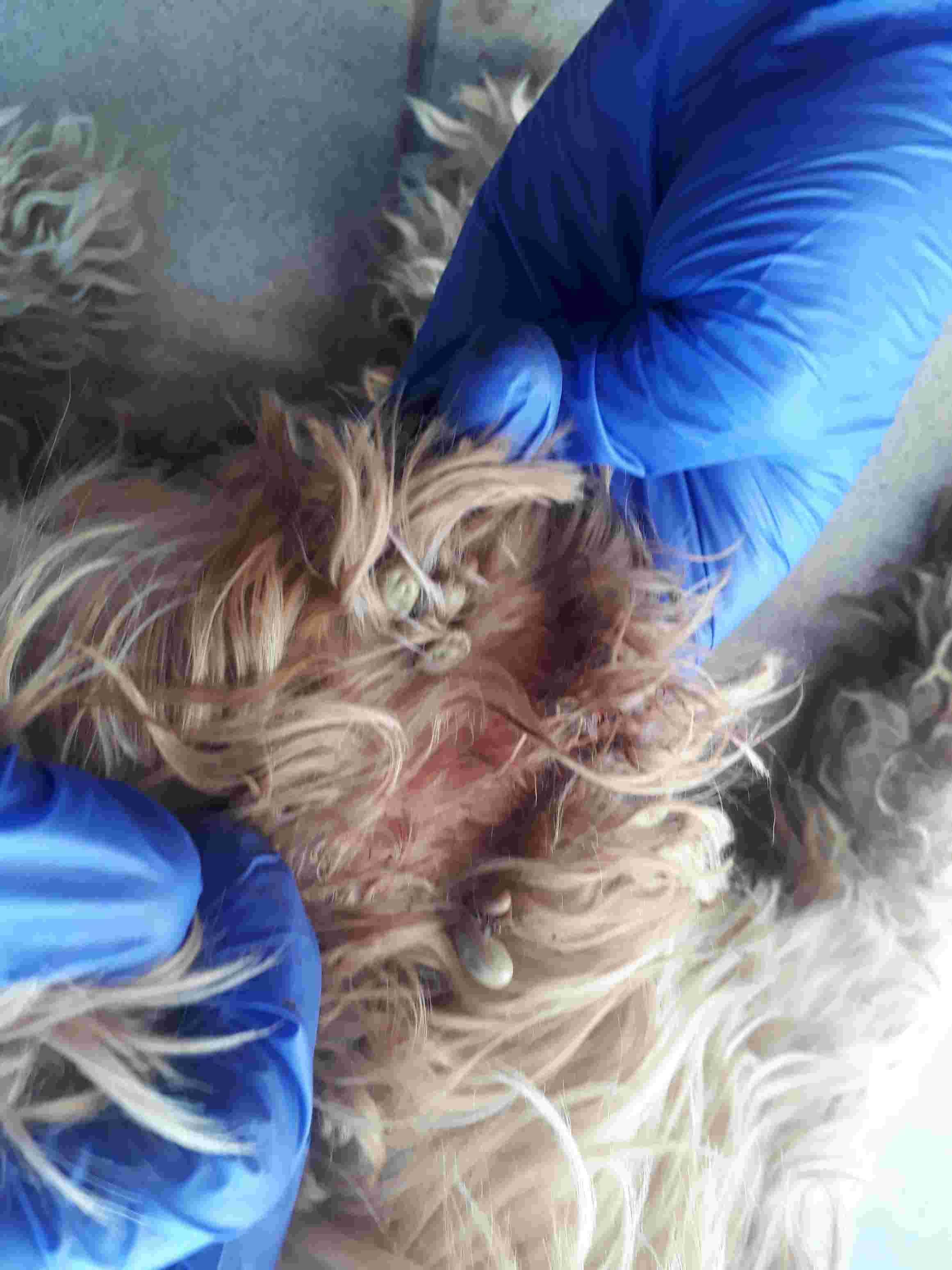 Question details sensitive content