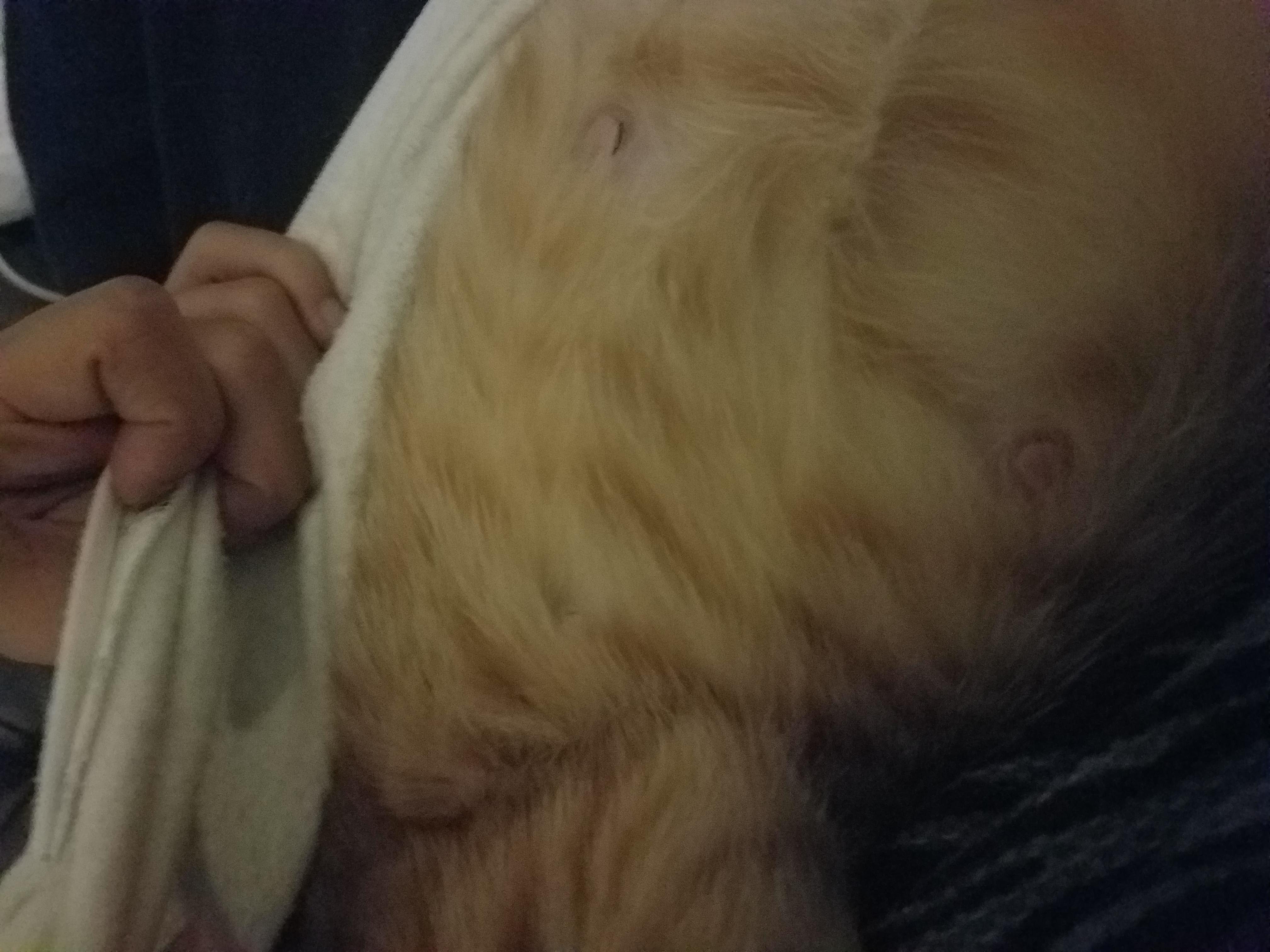 Question details sensitive content