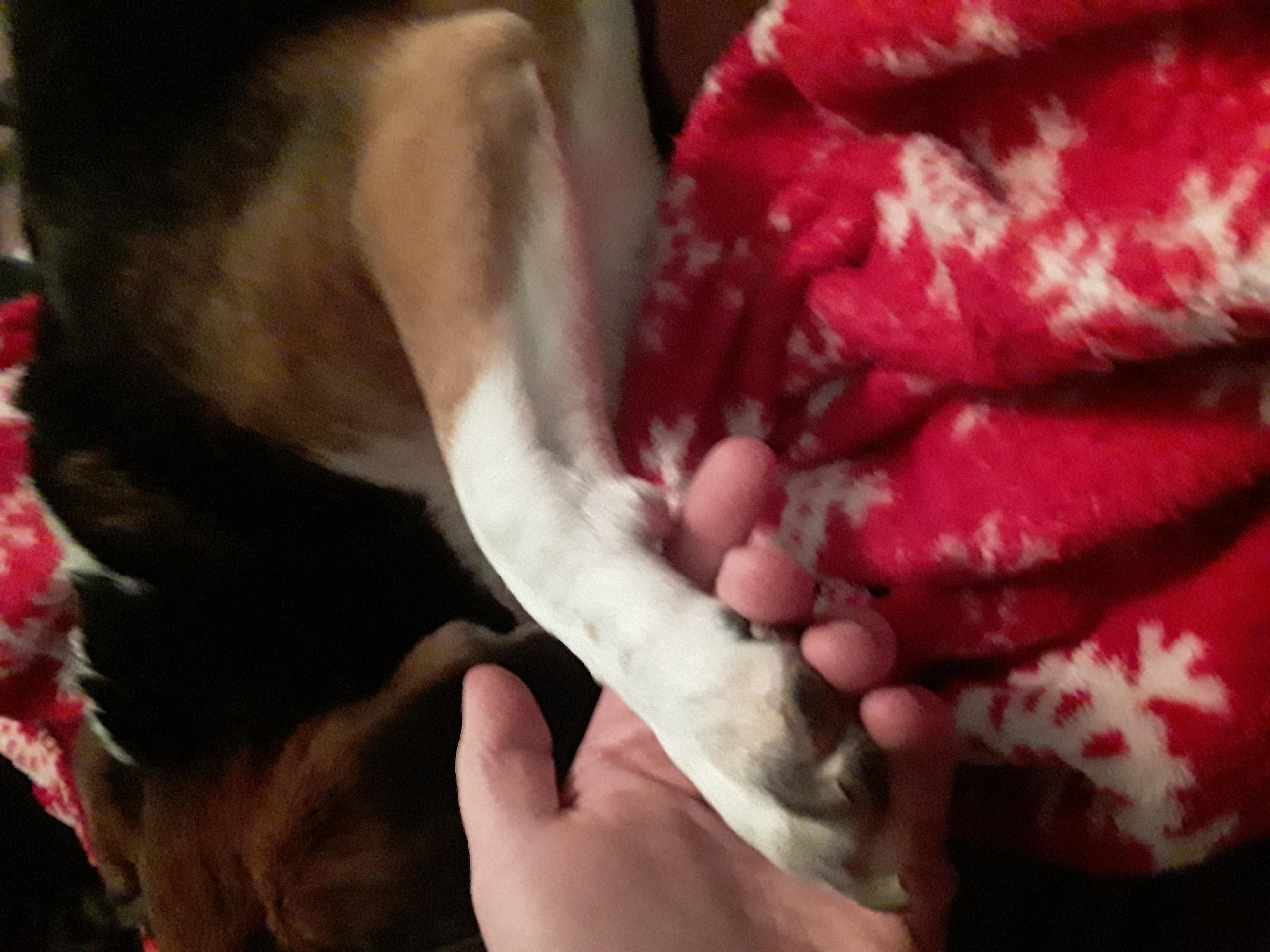 Question details sensitive content