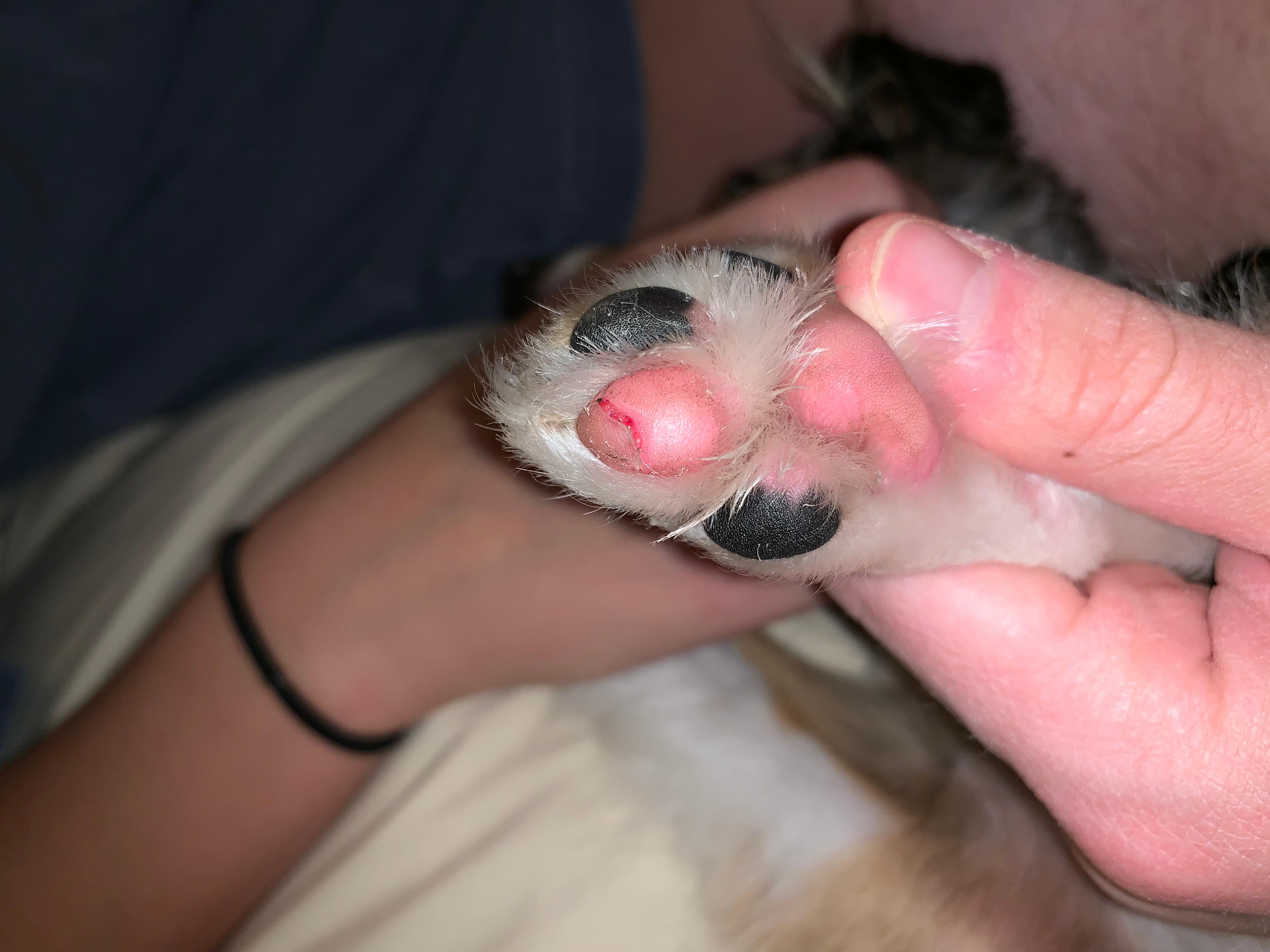 Question details sensitive content