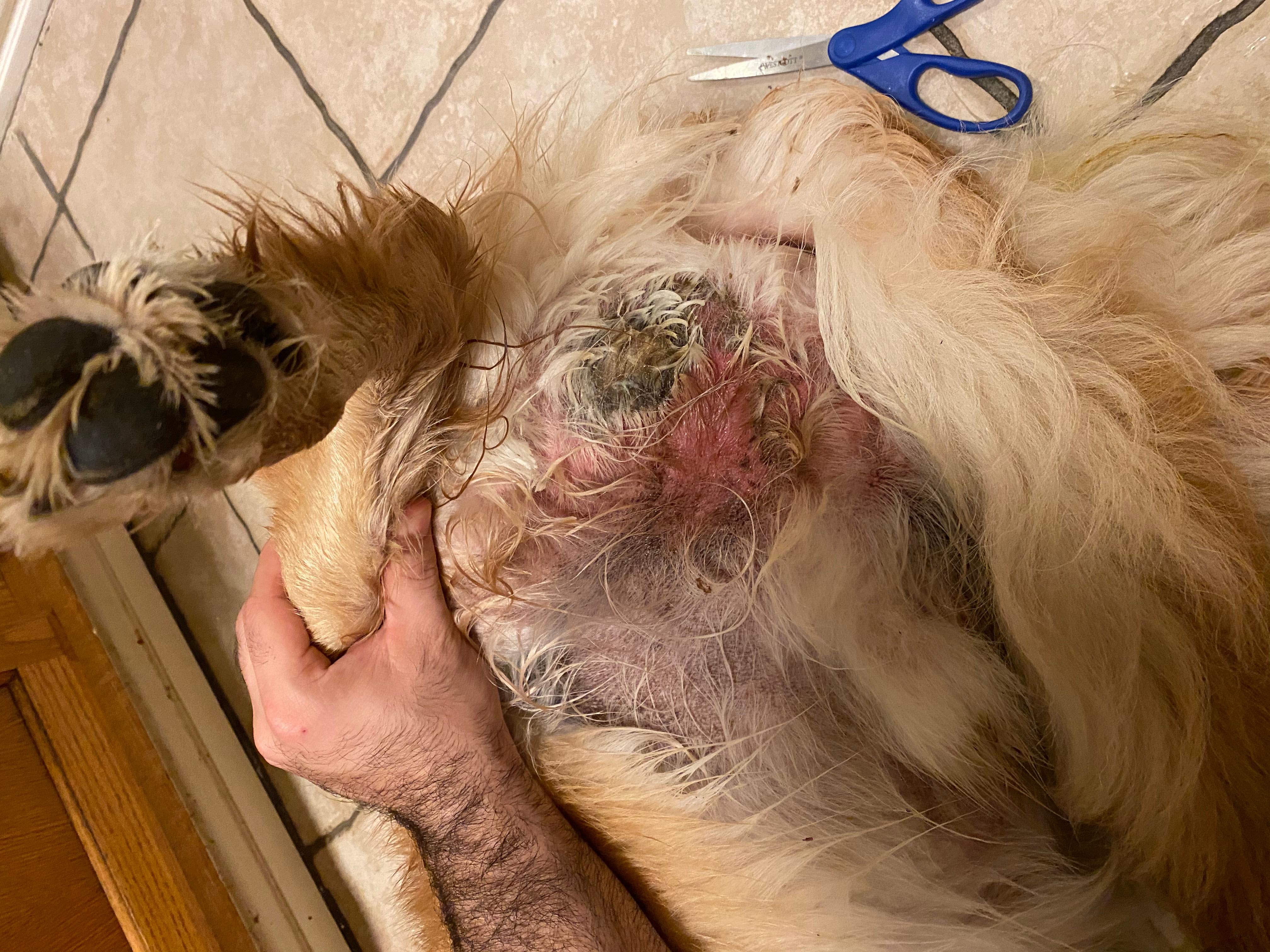 Question details sensitive content