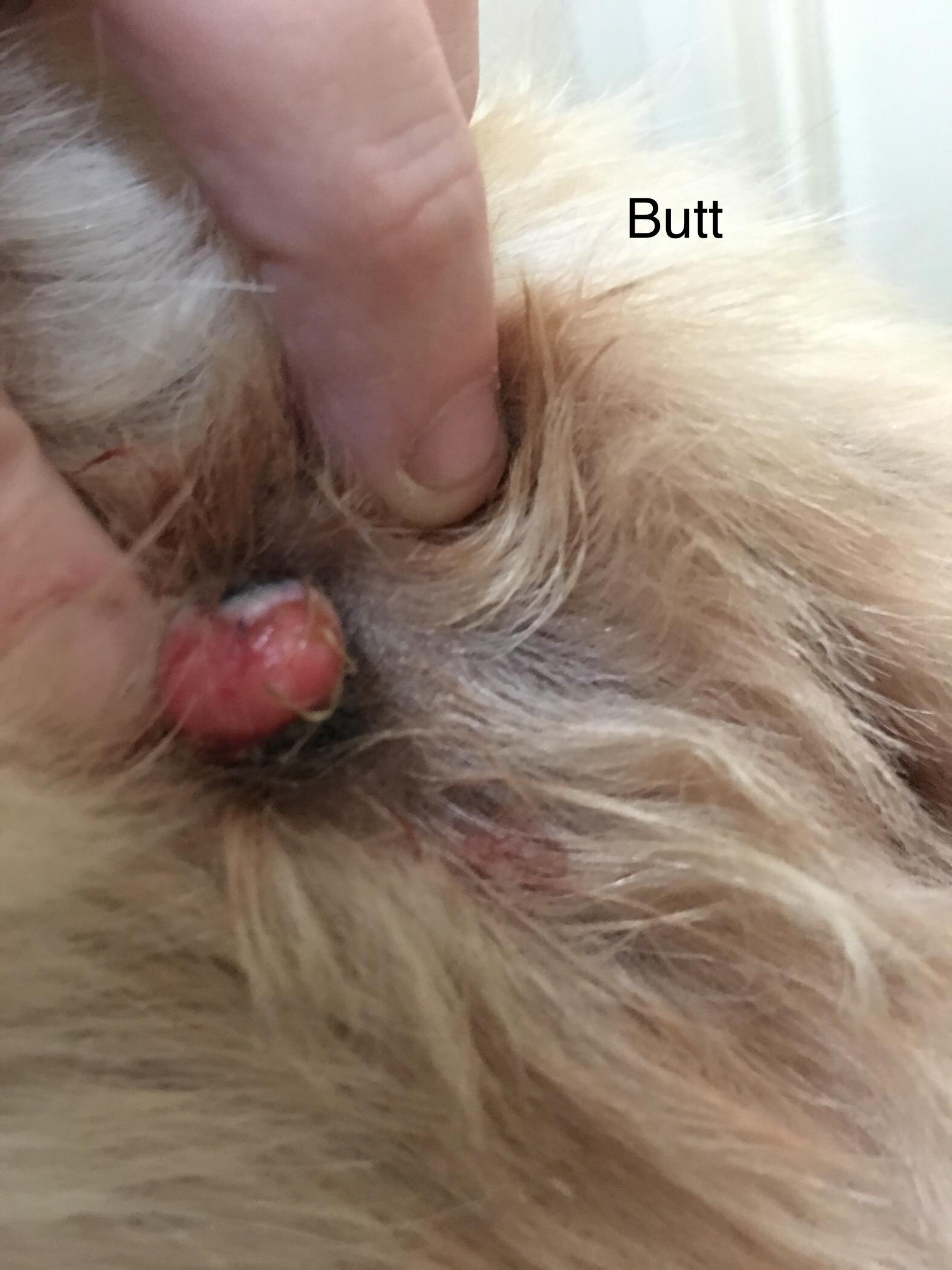 Question details sensitive content