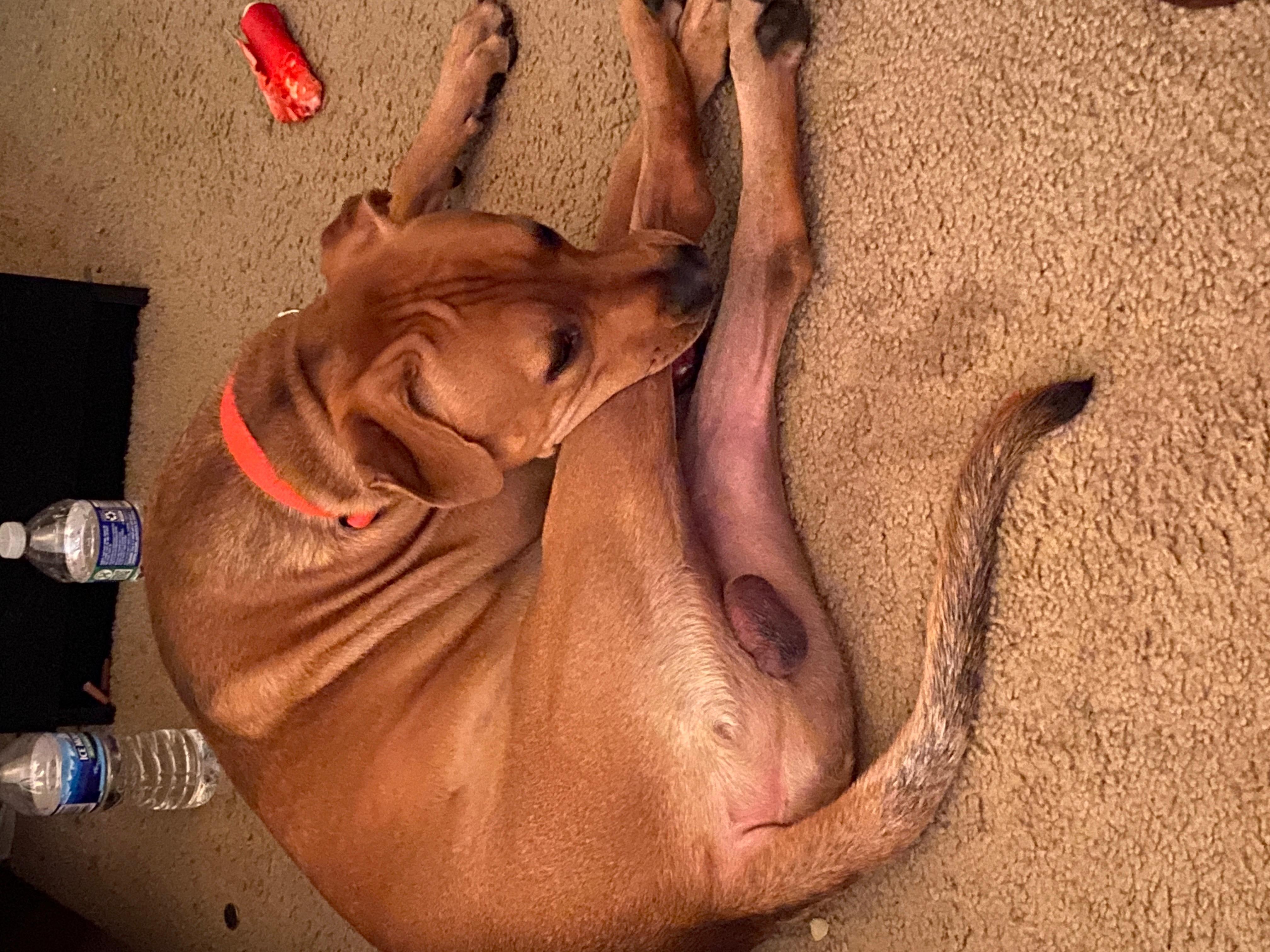 Question details sensitive content