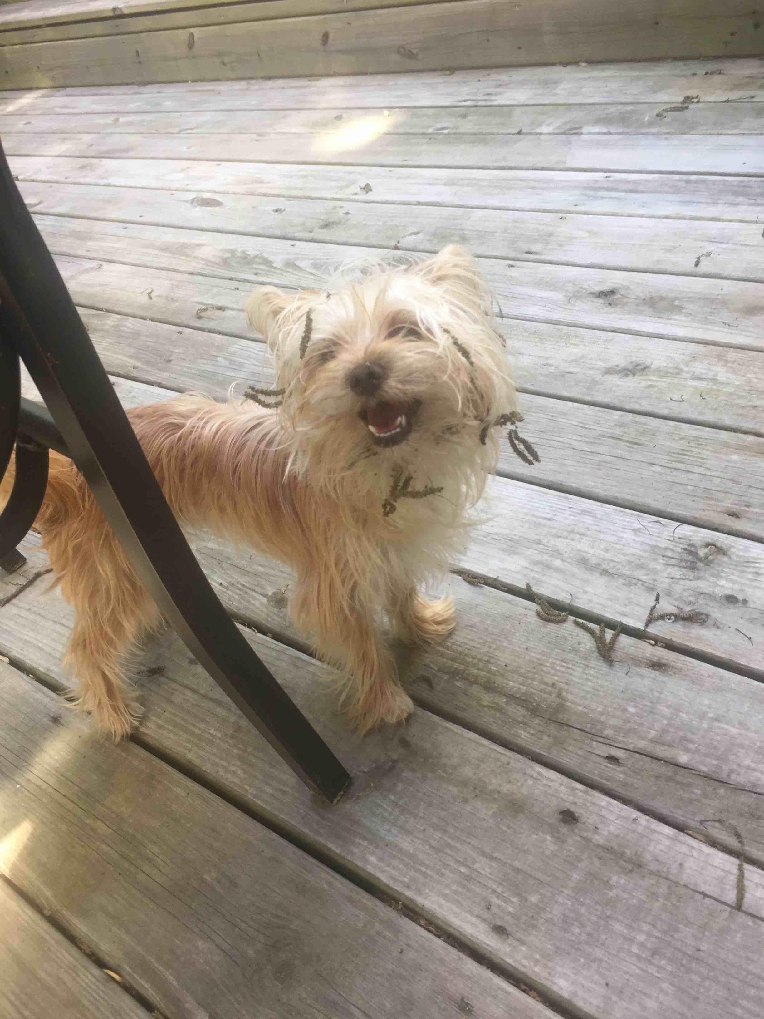 Question details sensitive content