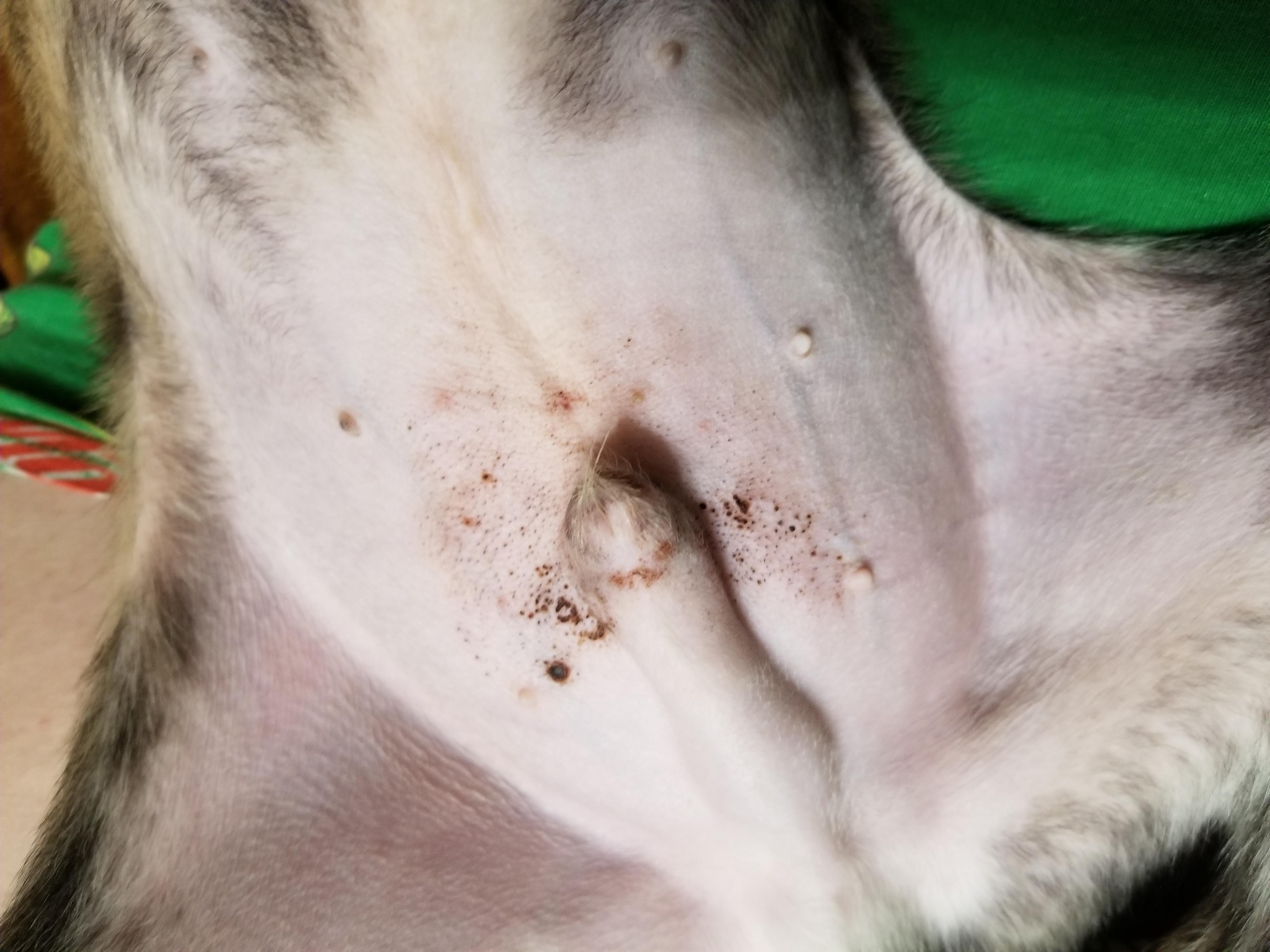 Question details sensitive content