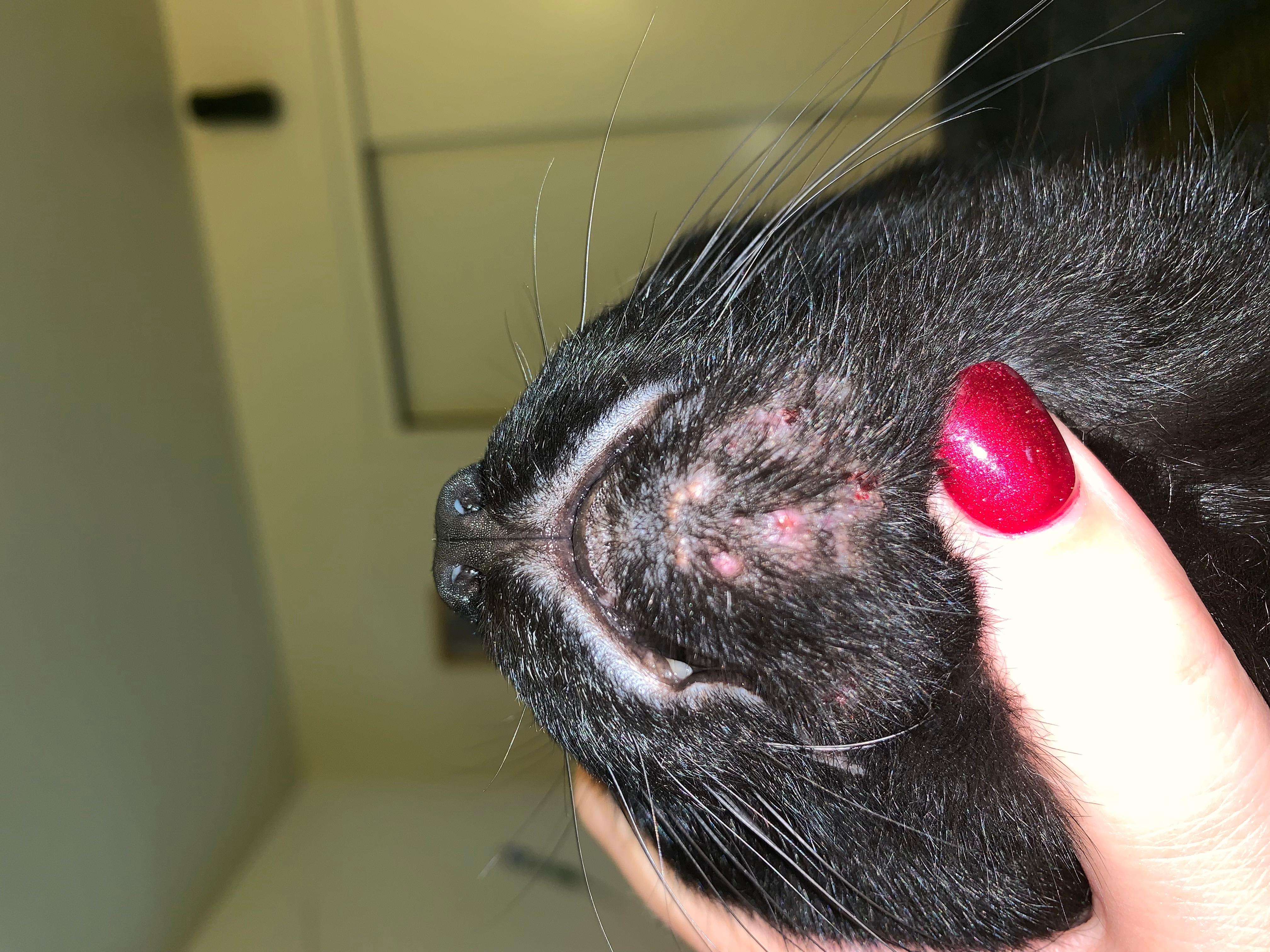 Question details sensitive content