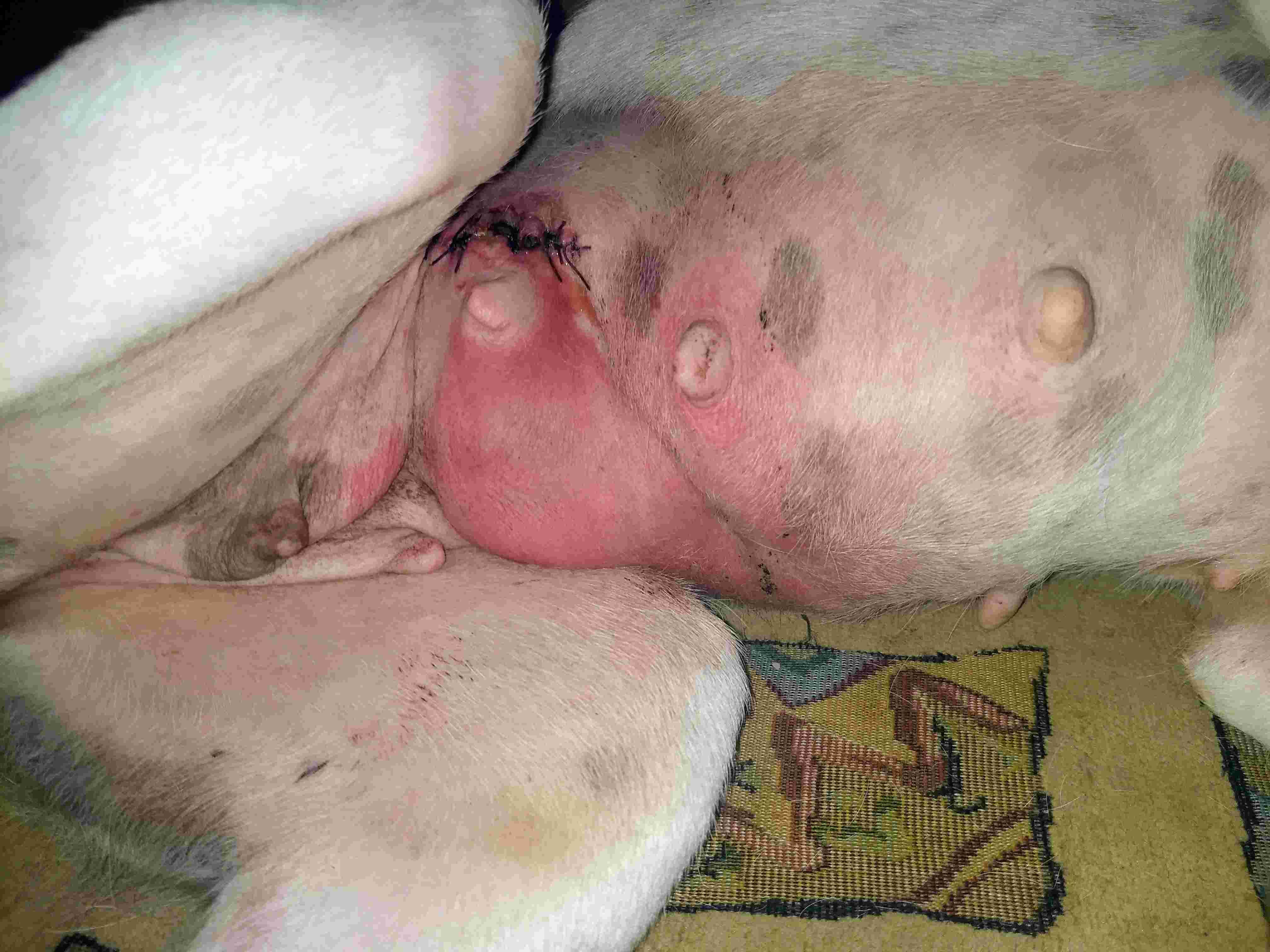 Question details sensitive content