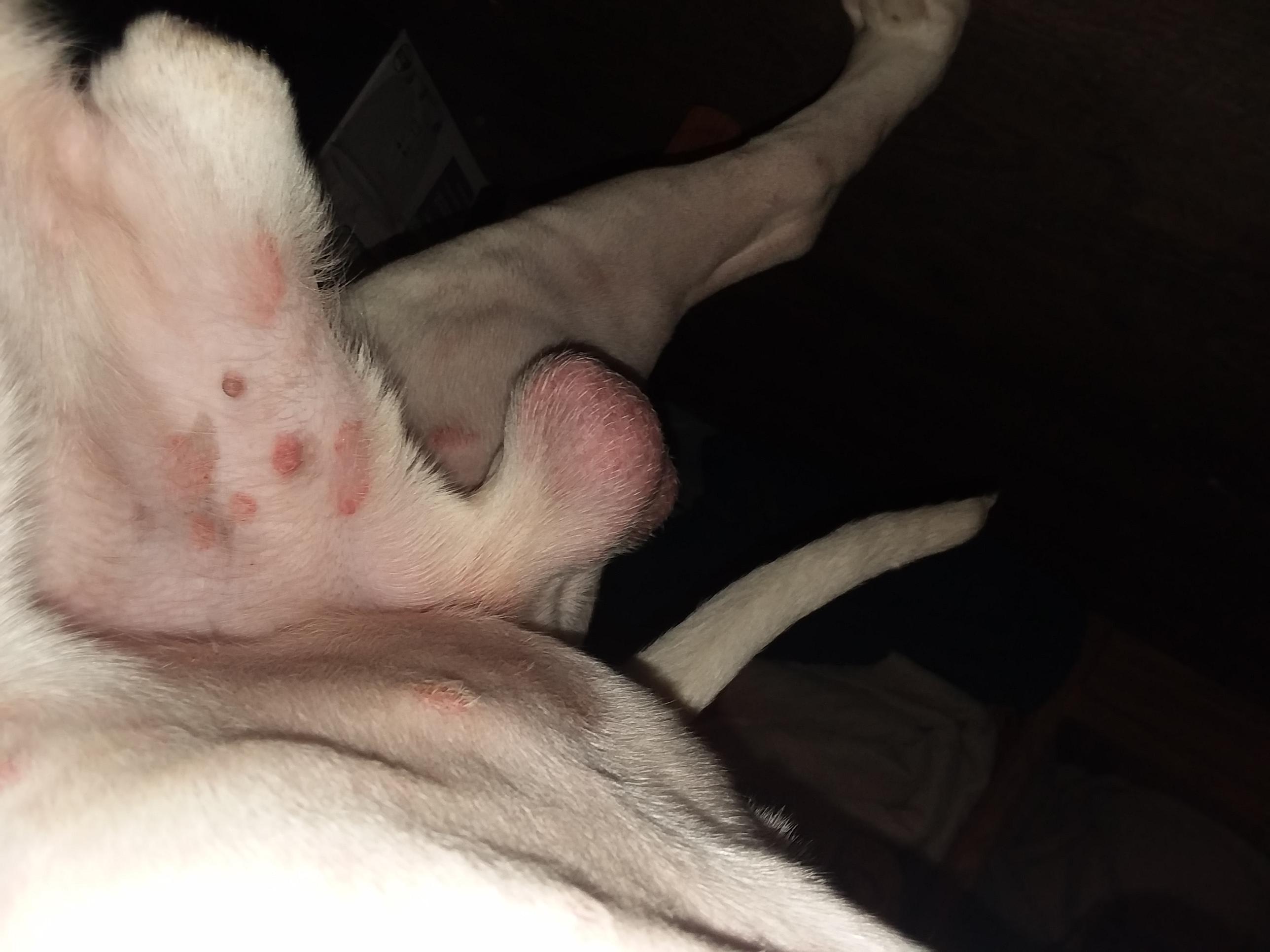 Question details sensitive content