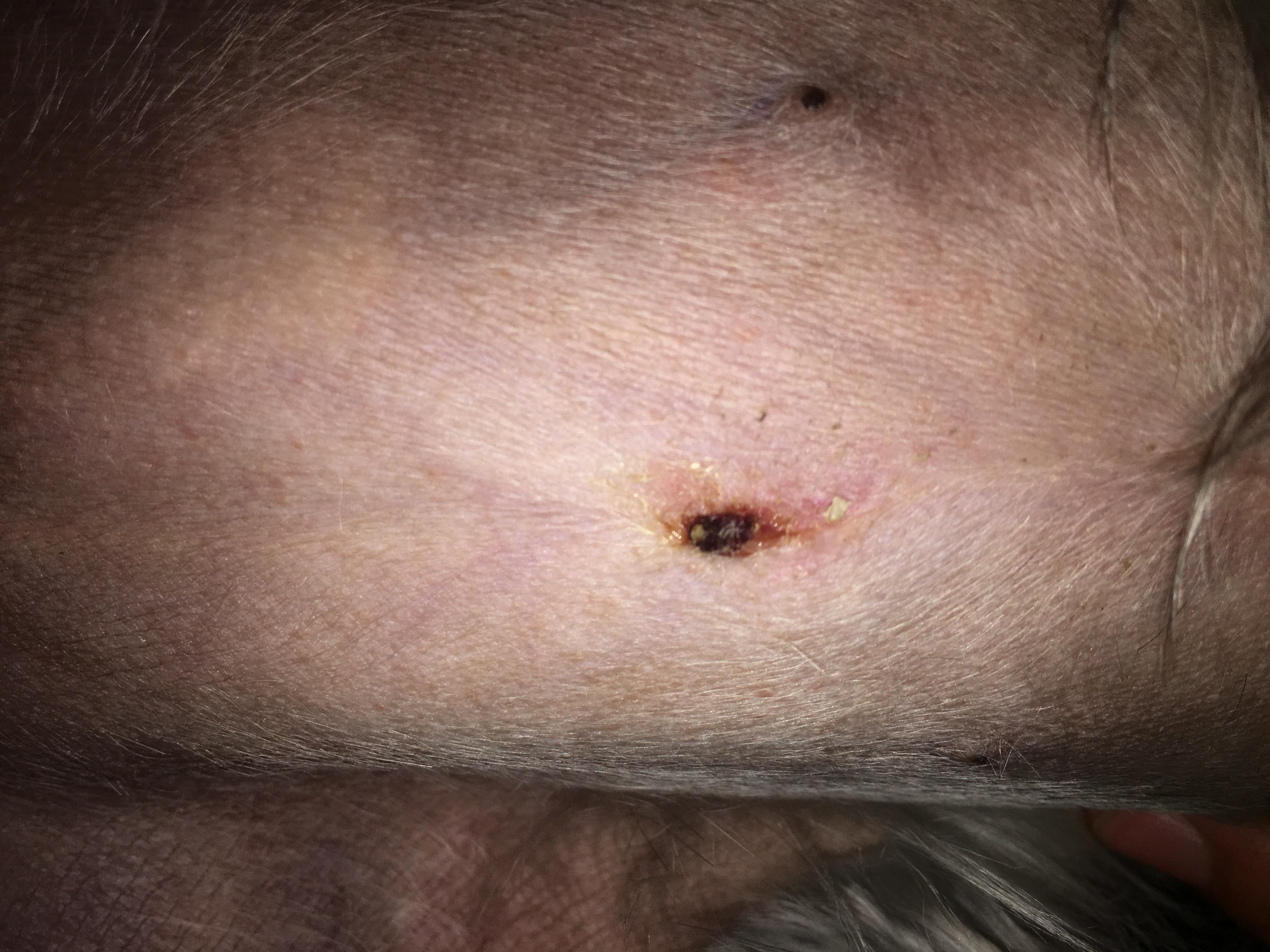 Question details sensitive content