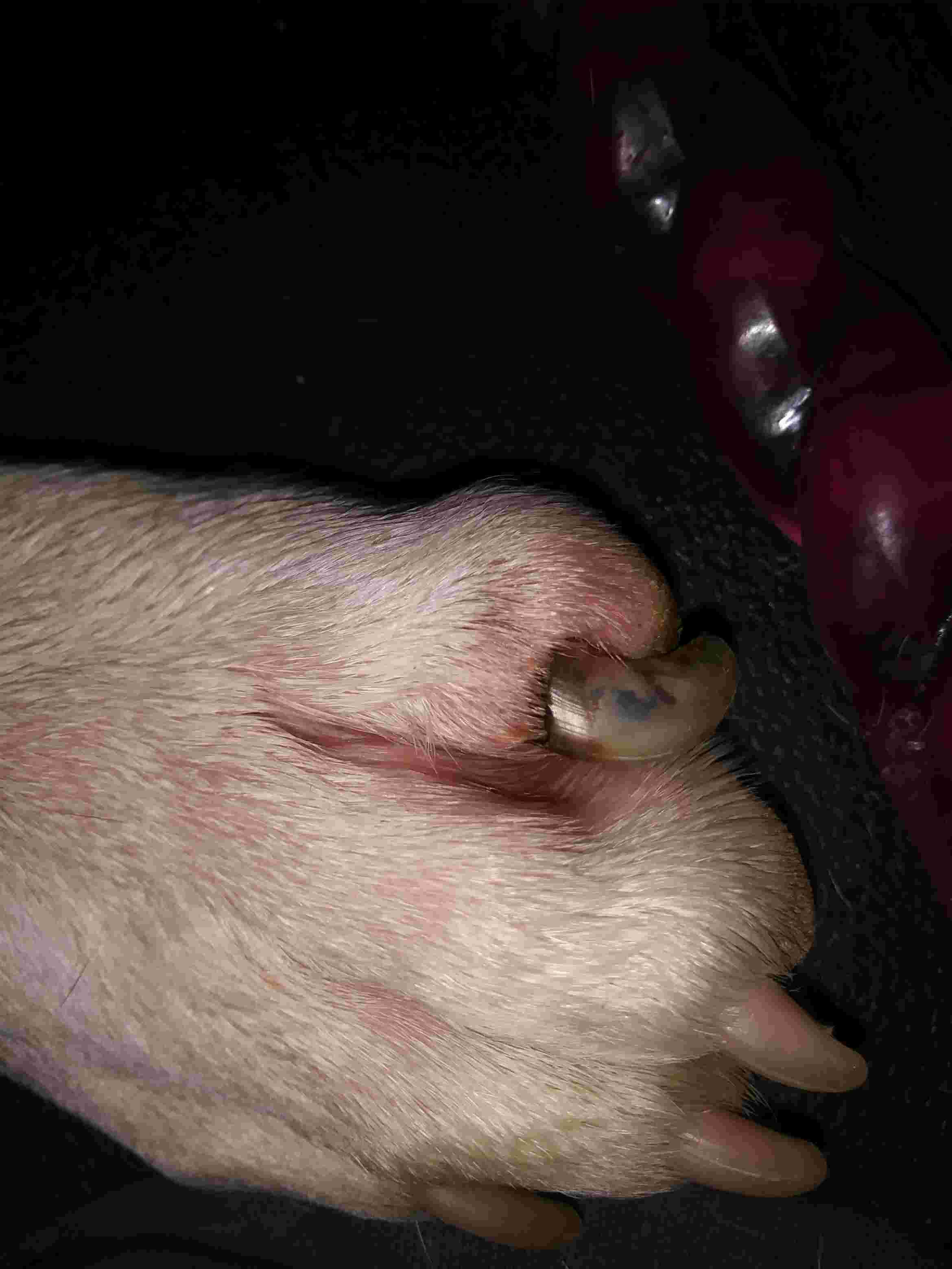 Question details sensitive content