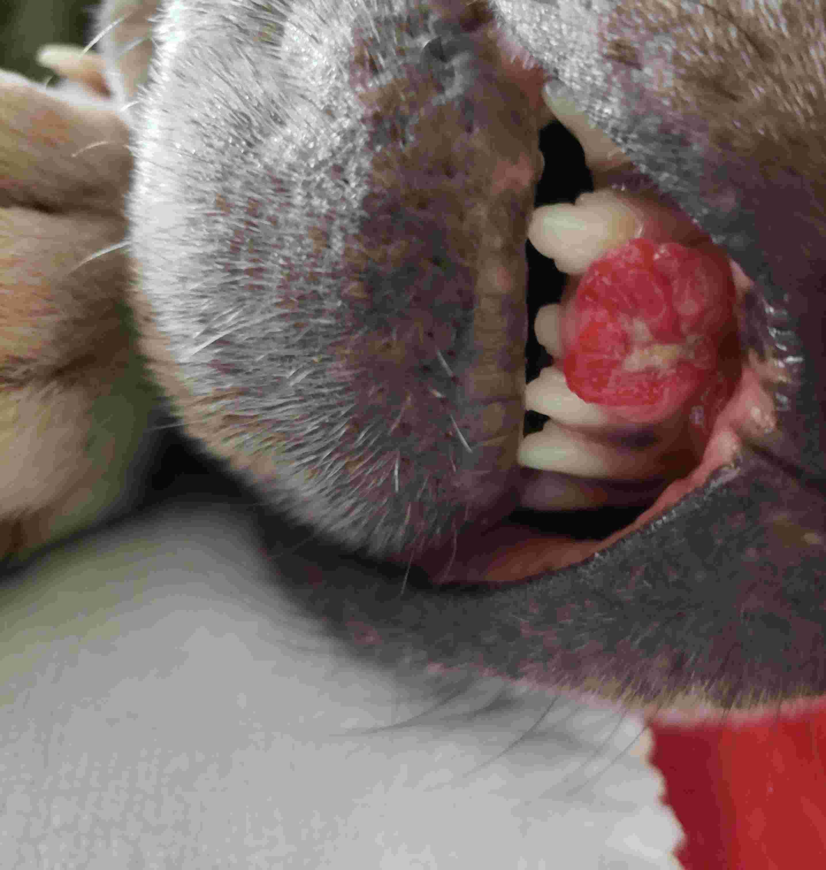 Question details sensitive content