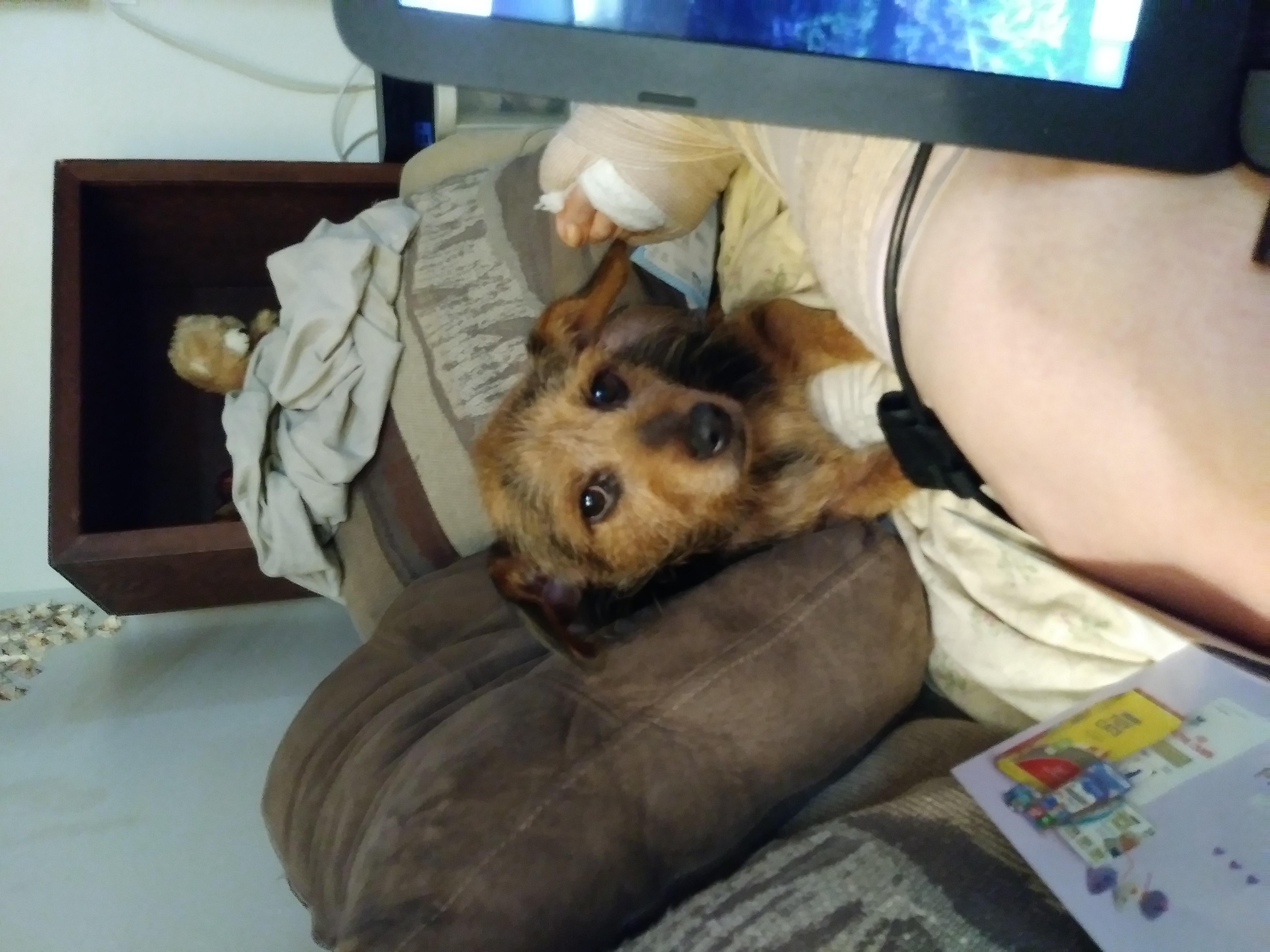 Question details sensitive content