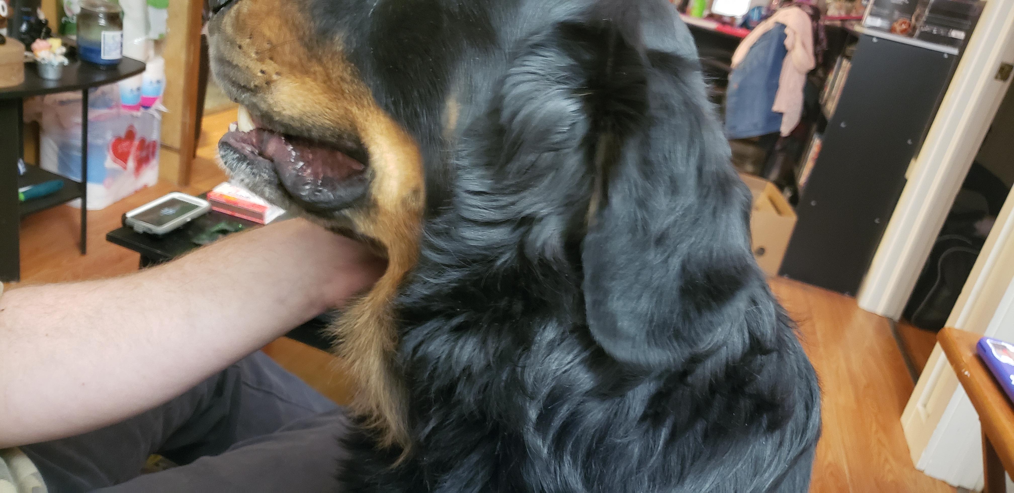 Question details sensitive content