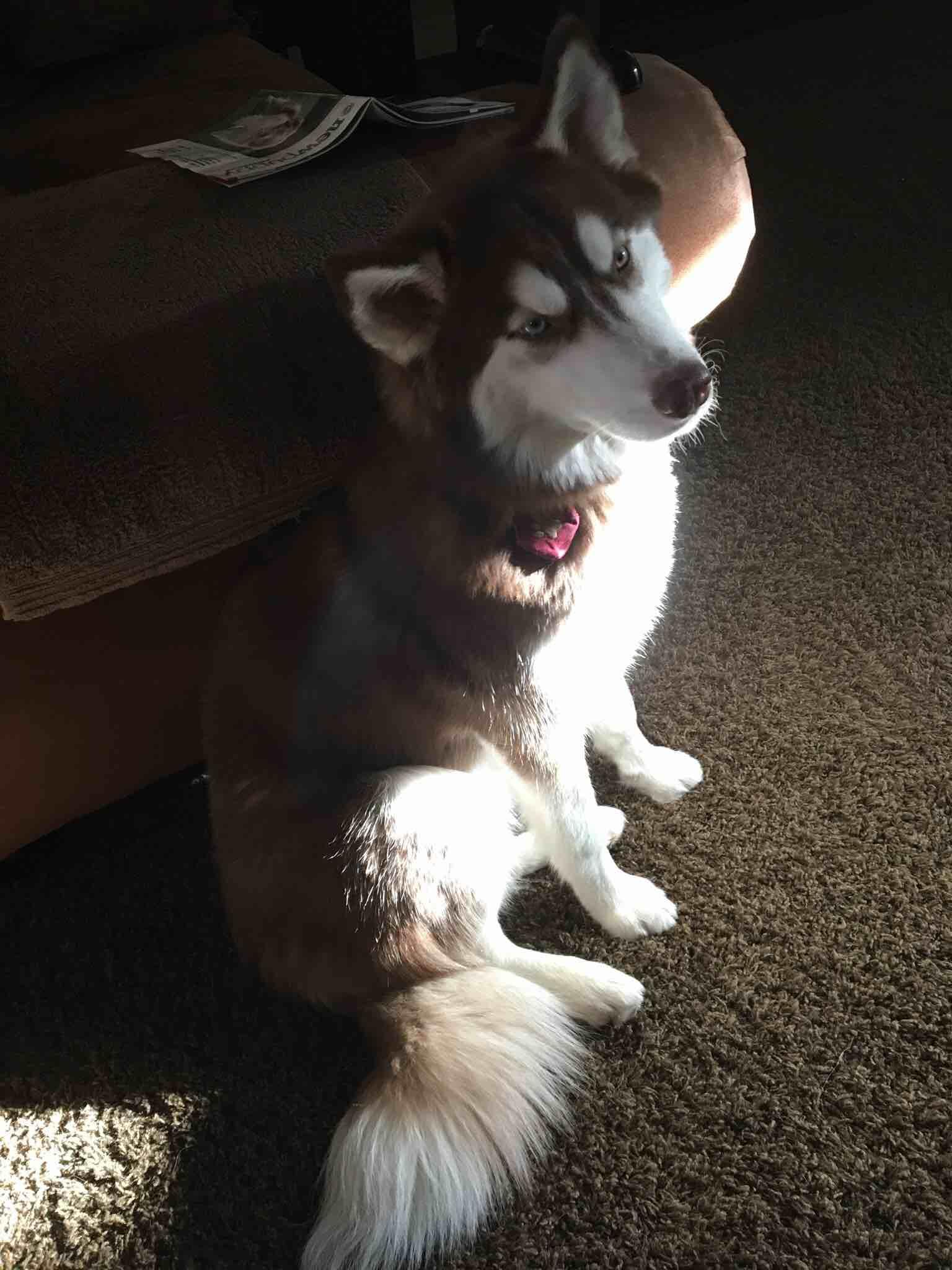 Question details sensitive content