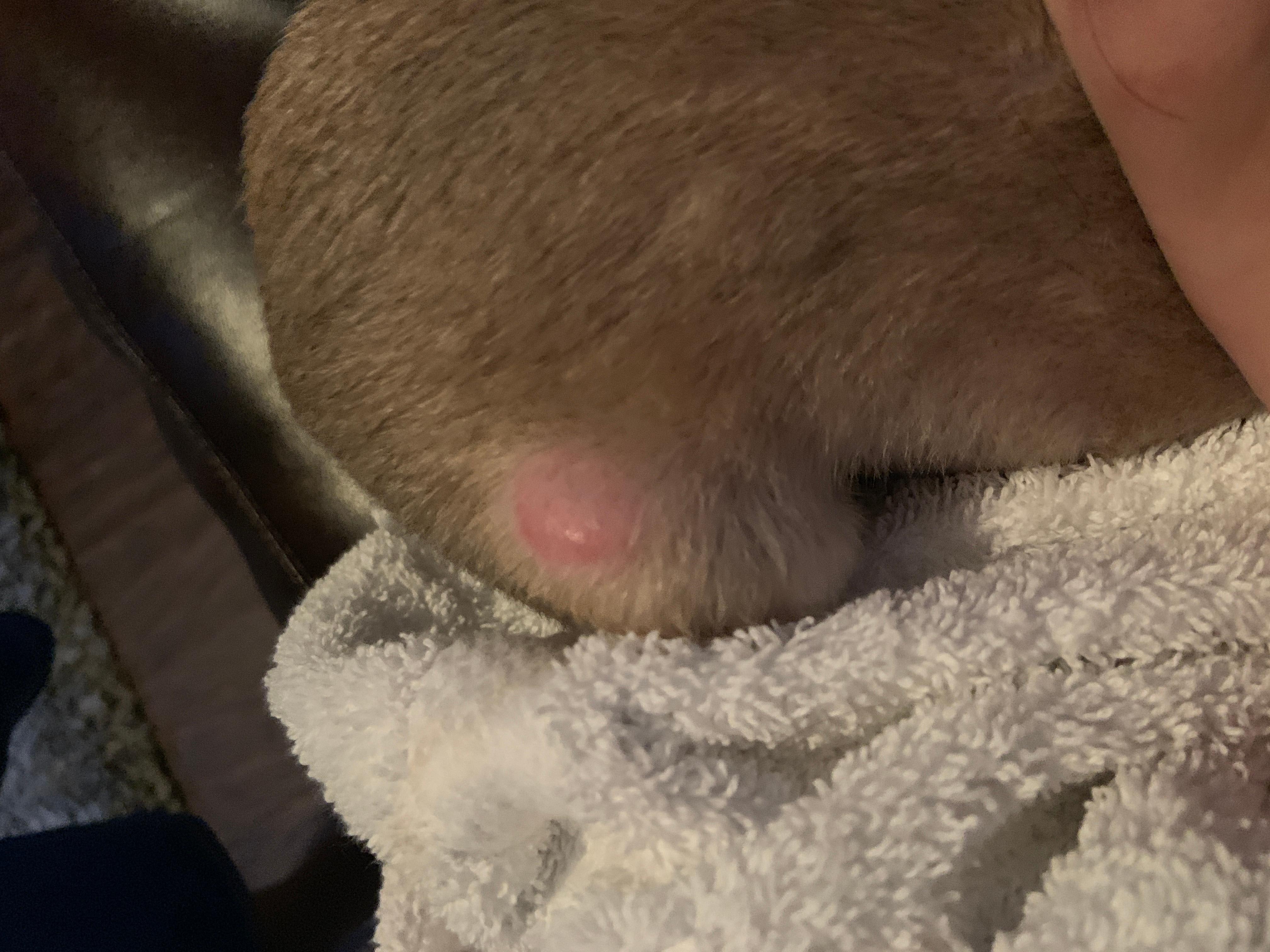 Question details sensitive content