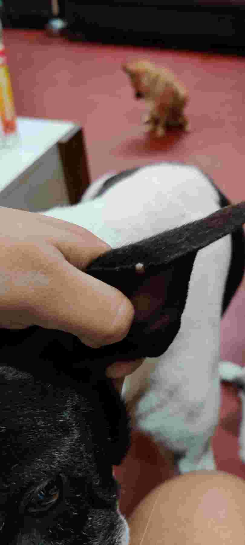 Question details sensitive content