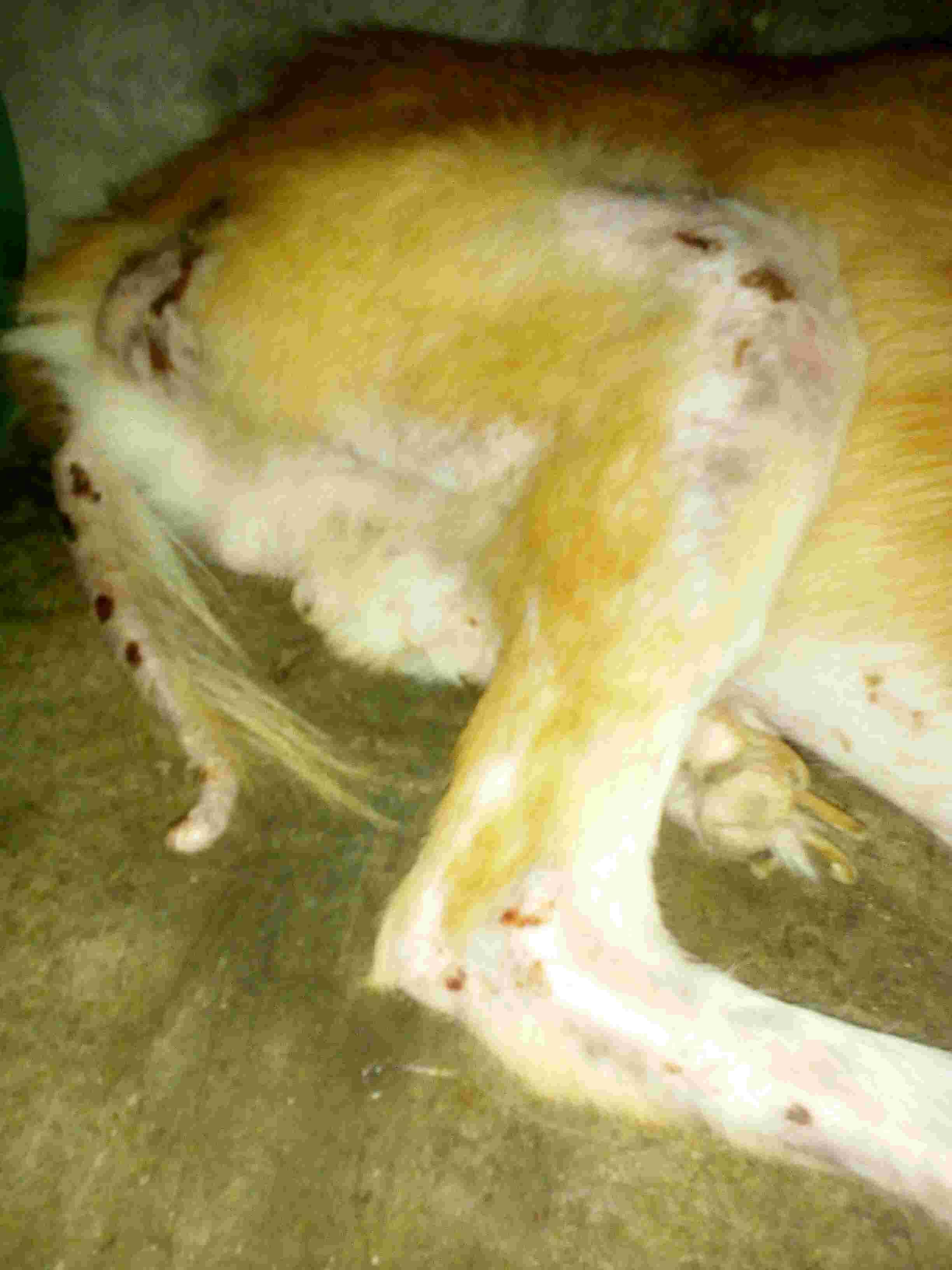 Question details sensitive content