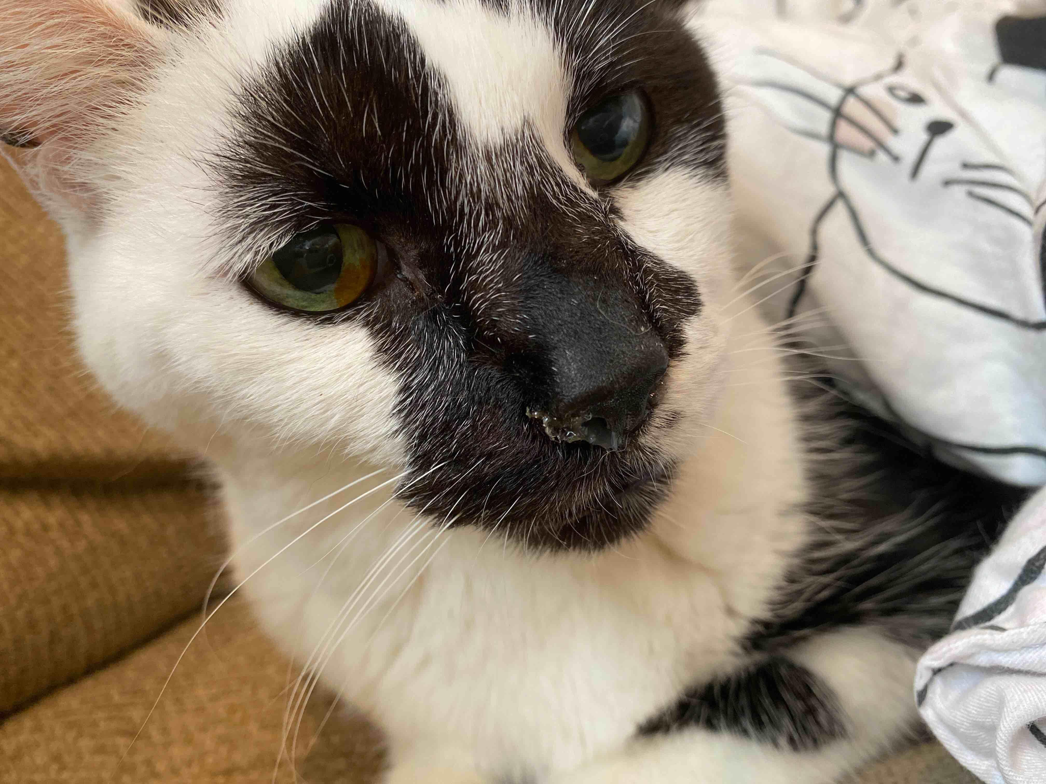 Question details sensitive content