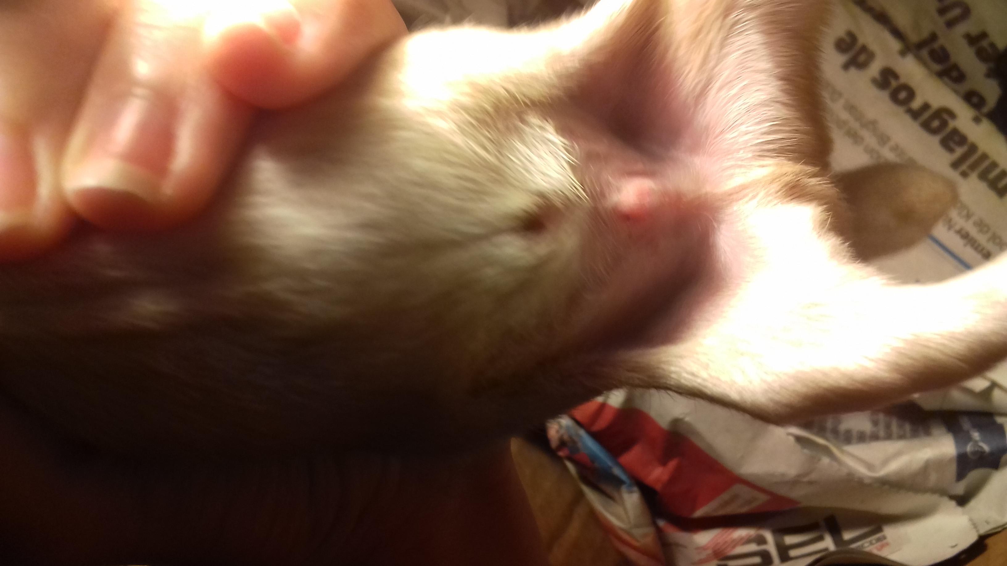 Question details sensitive content