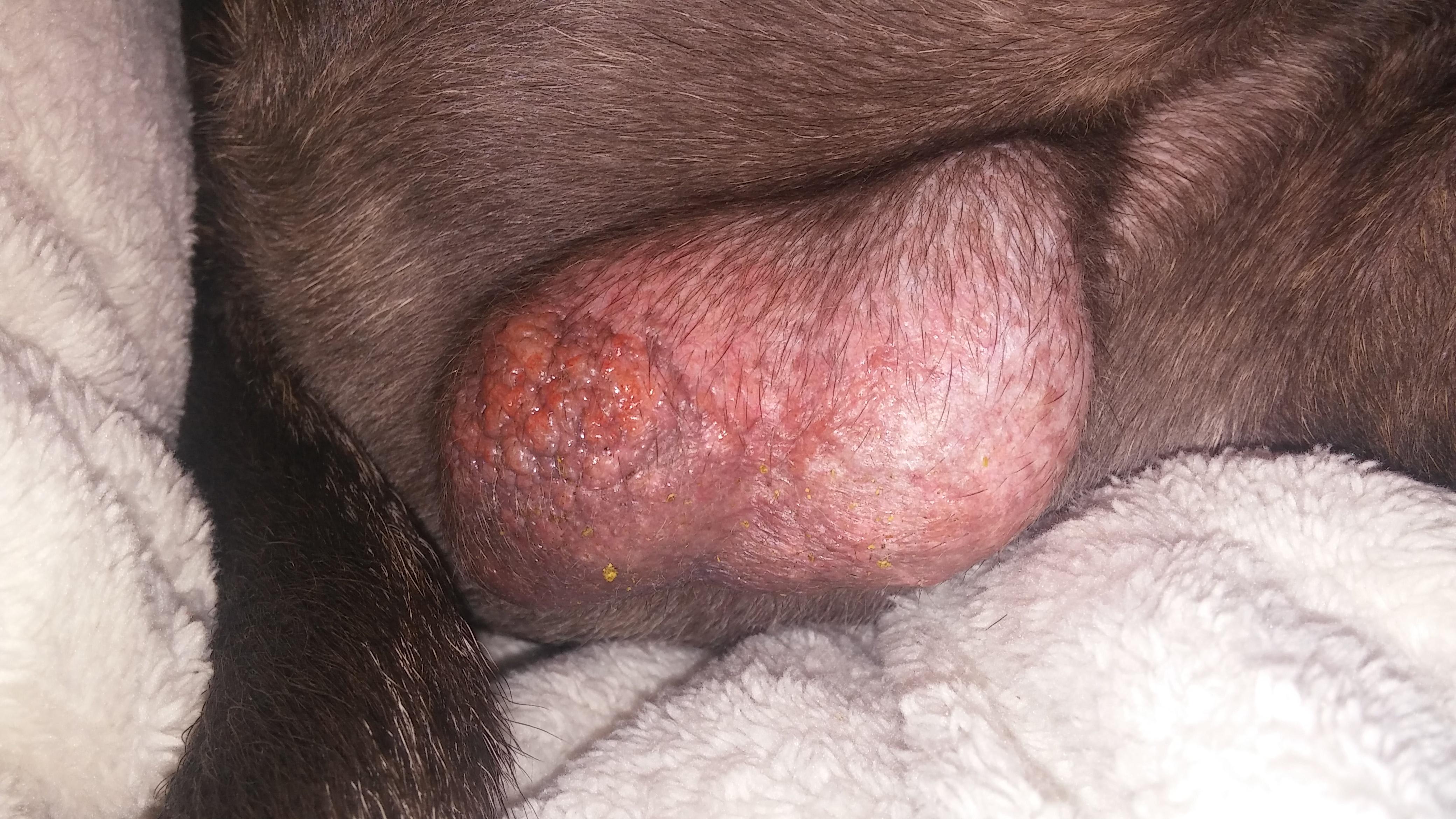 Question details sensitive content