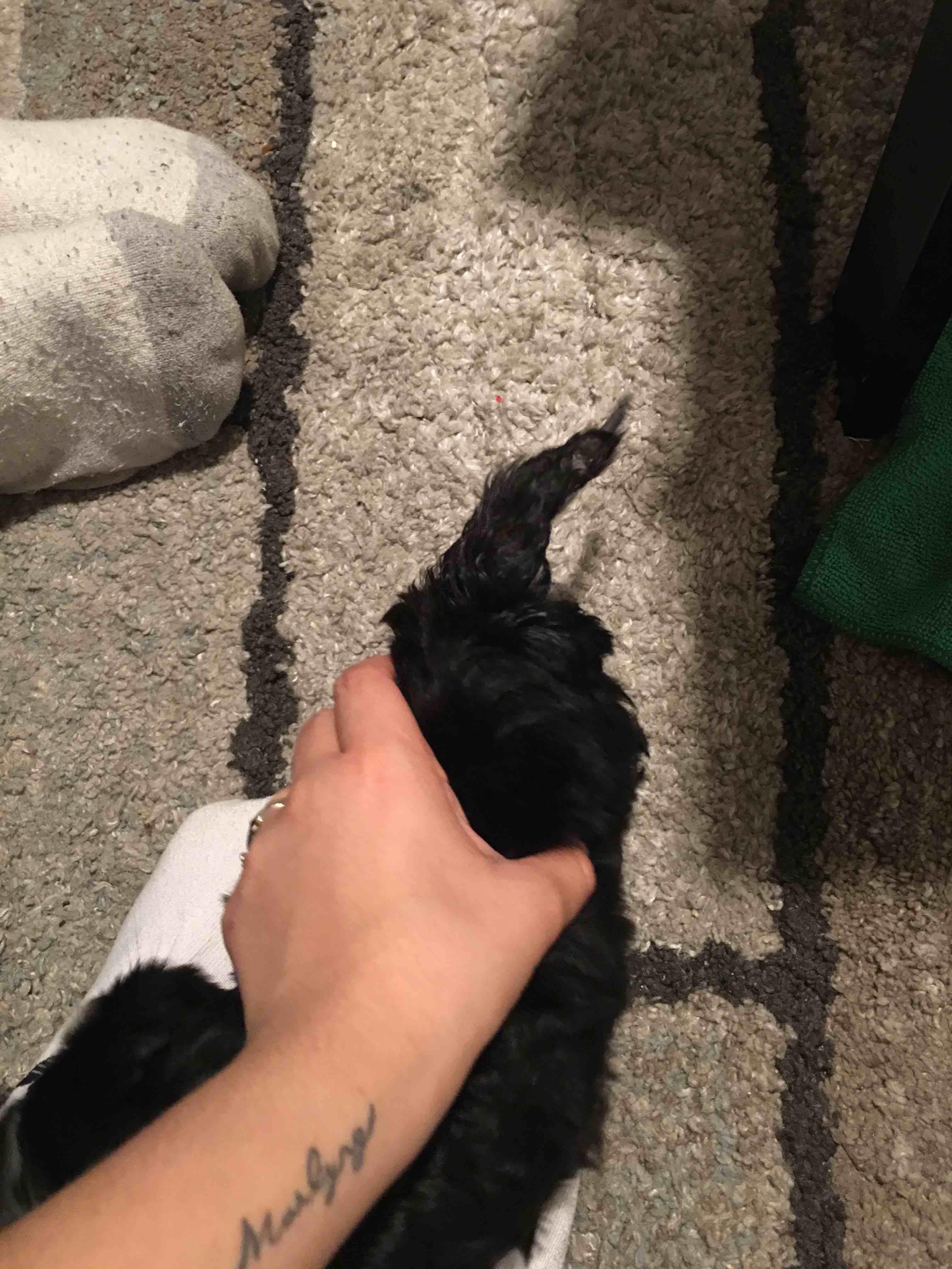 Question details sensitive content