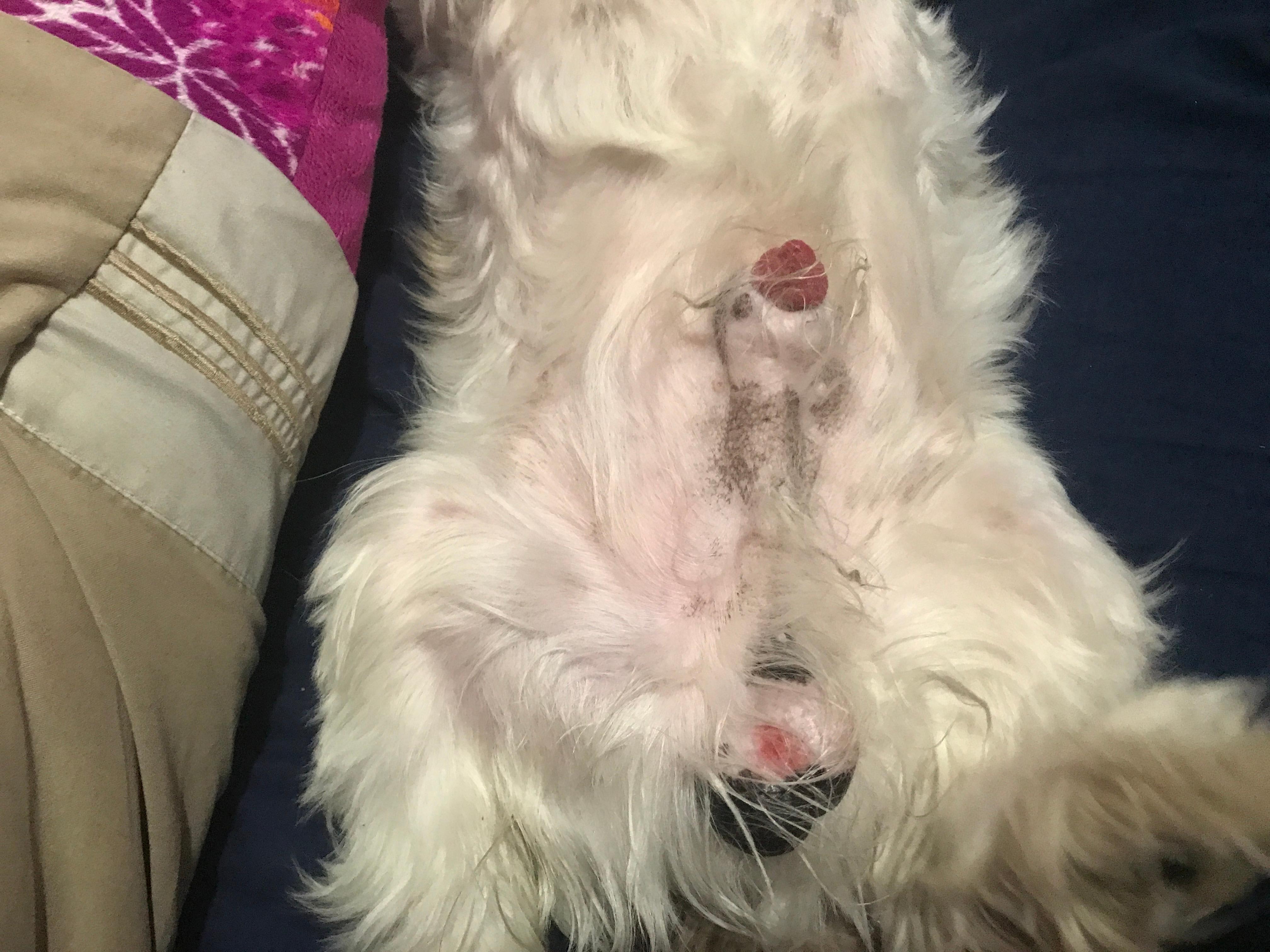 Question details sensitive content