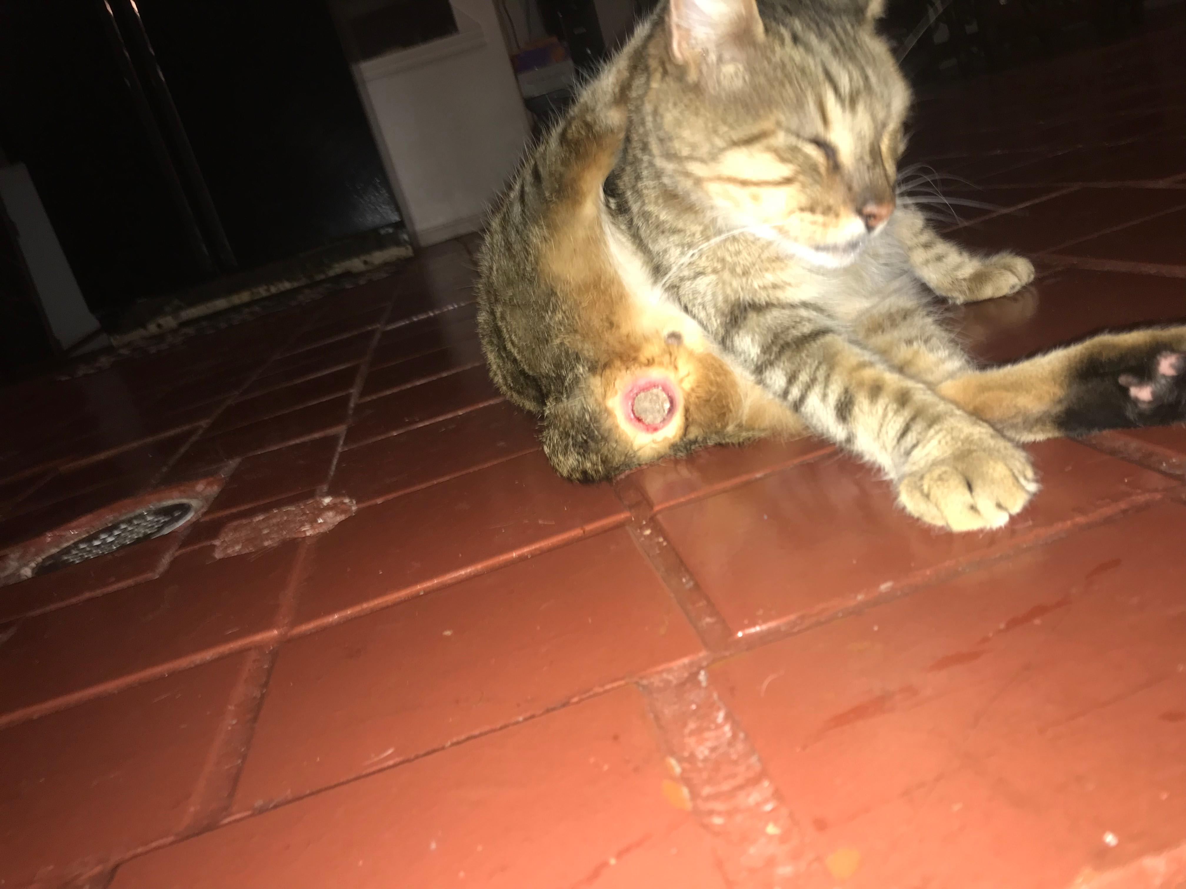 Question details sensitive content