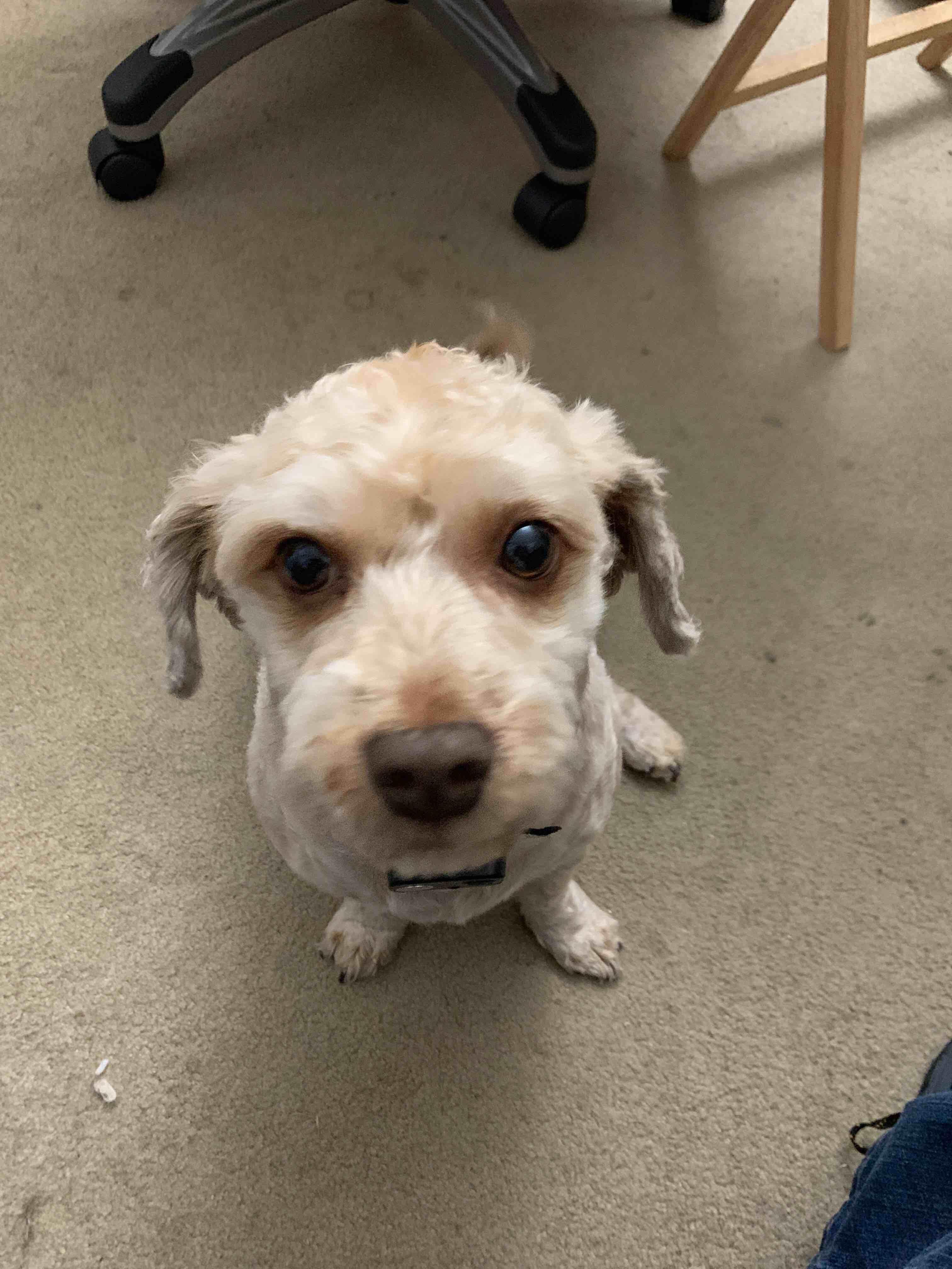 Question details sensitive content