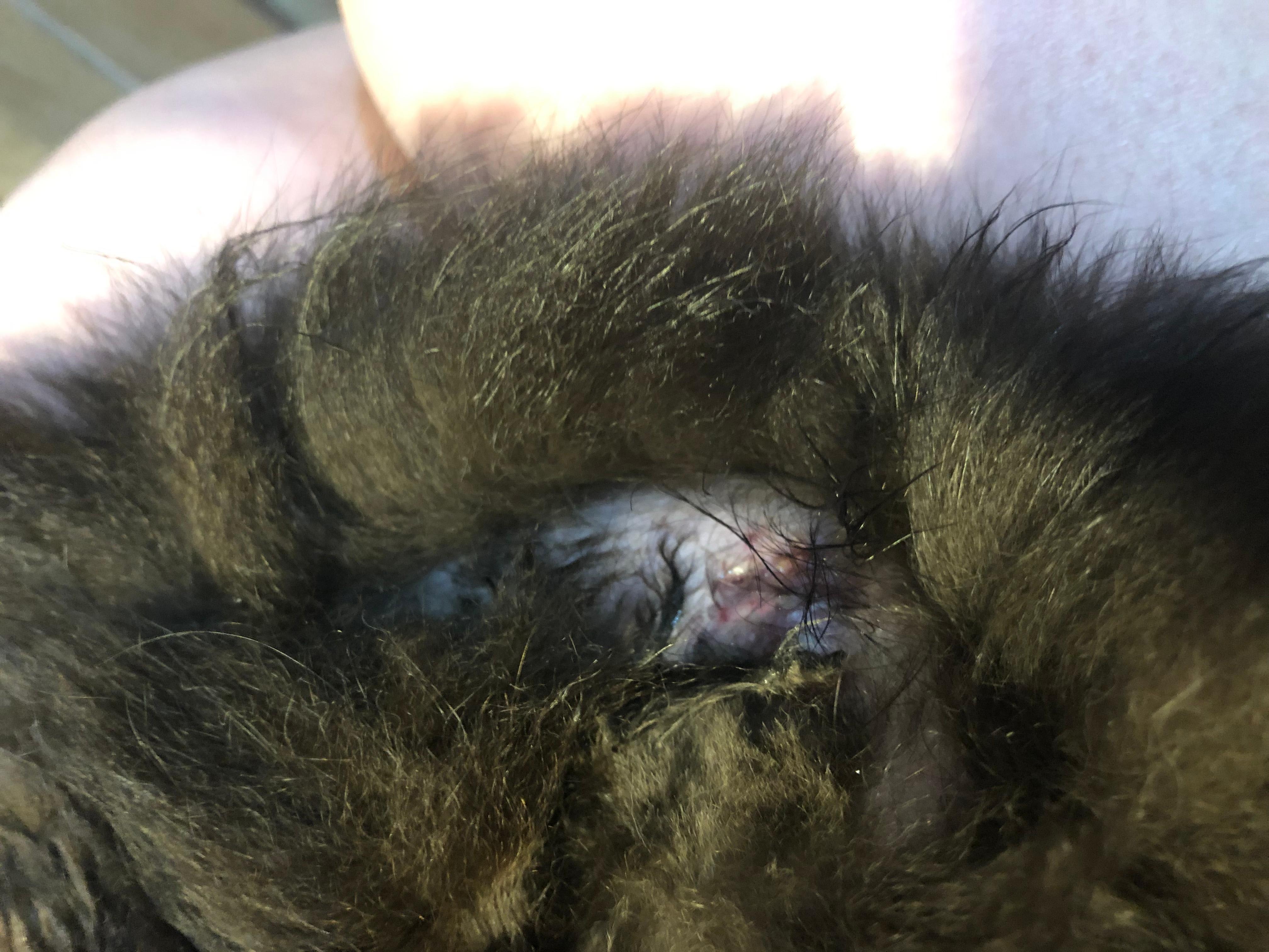 Question details sensitive content