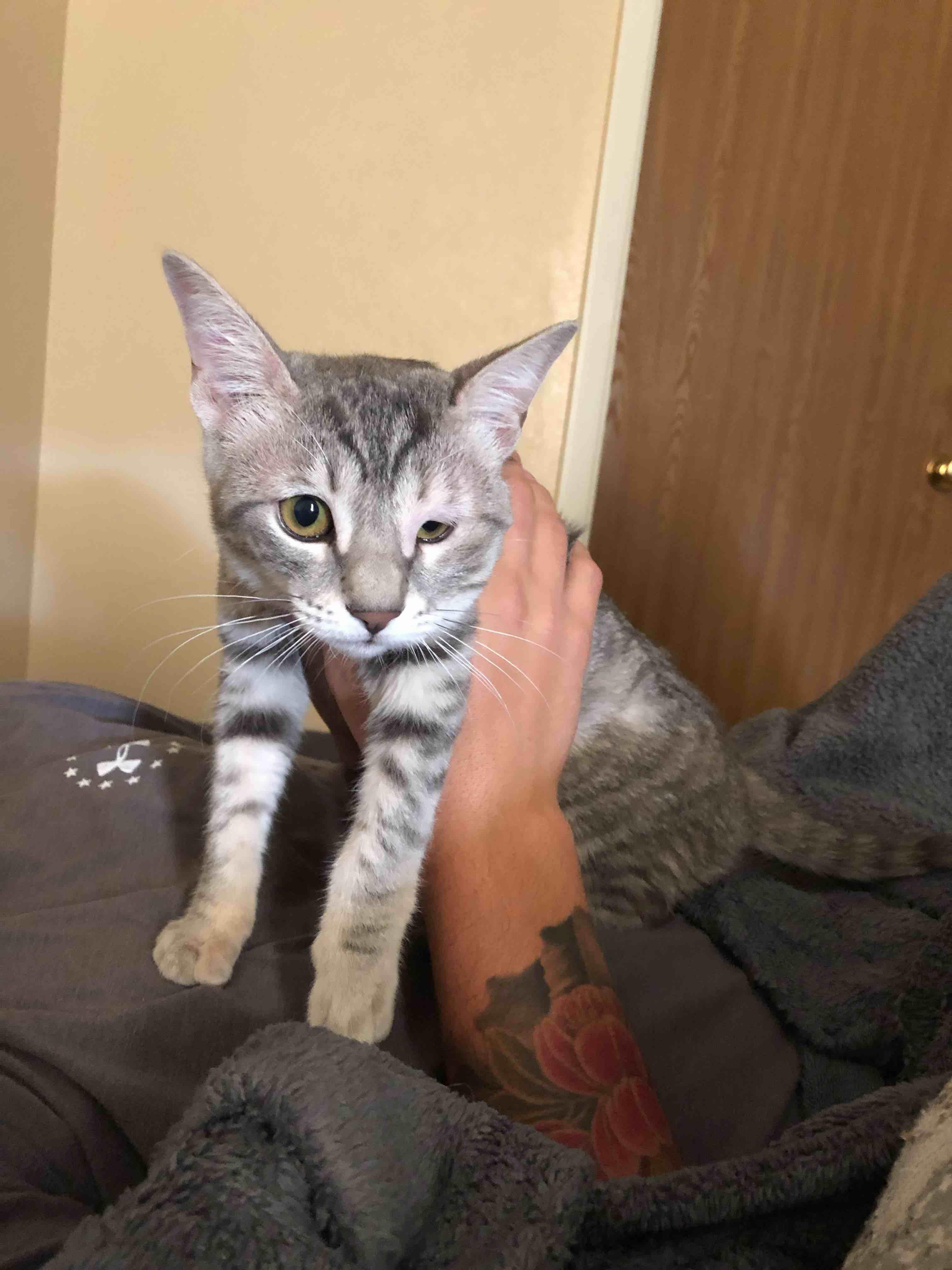 Question details sensitive content