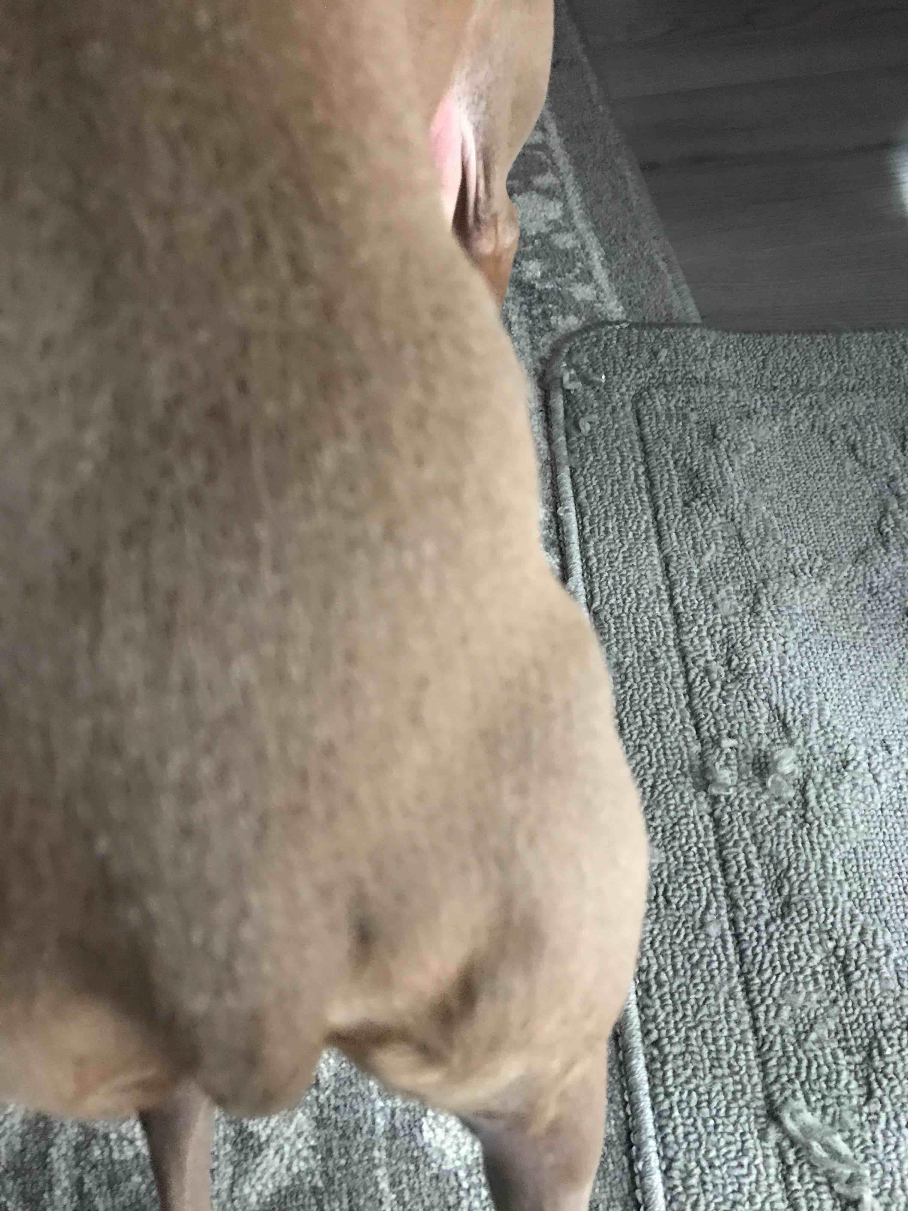 Question details sensitive content