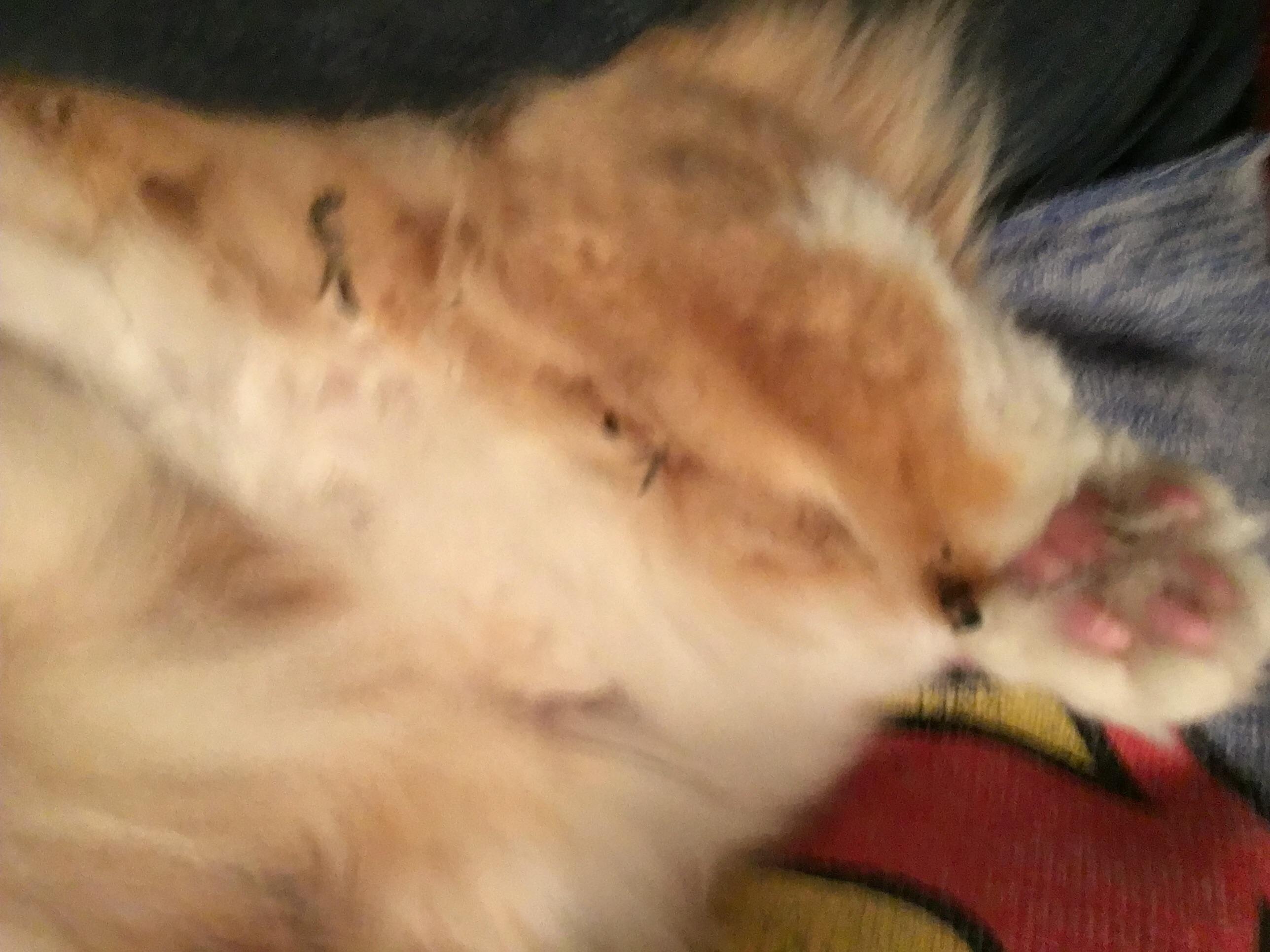 Question details sensitive content