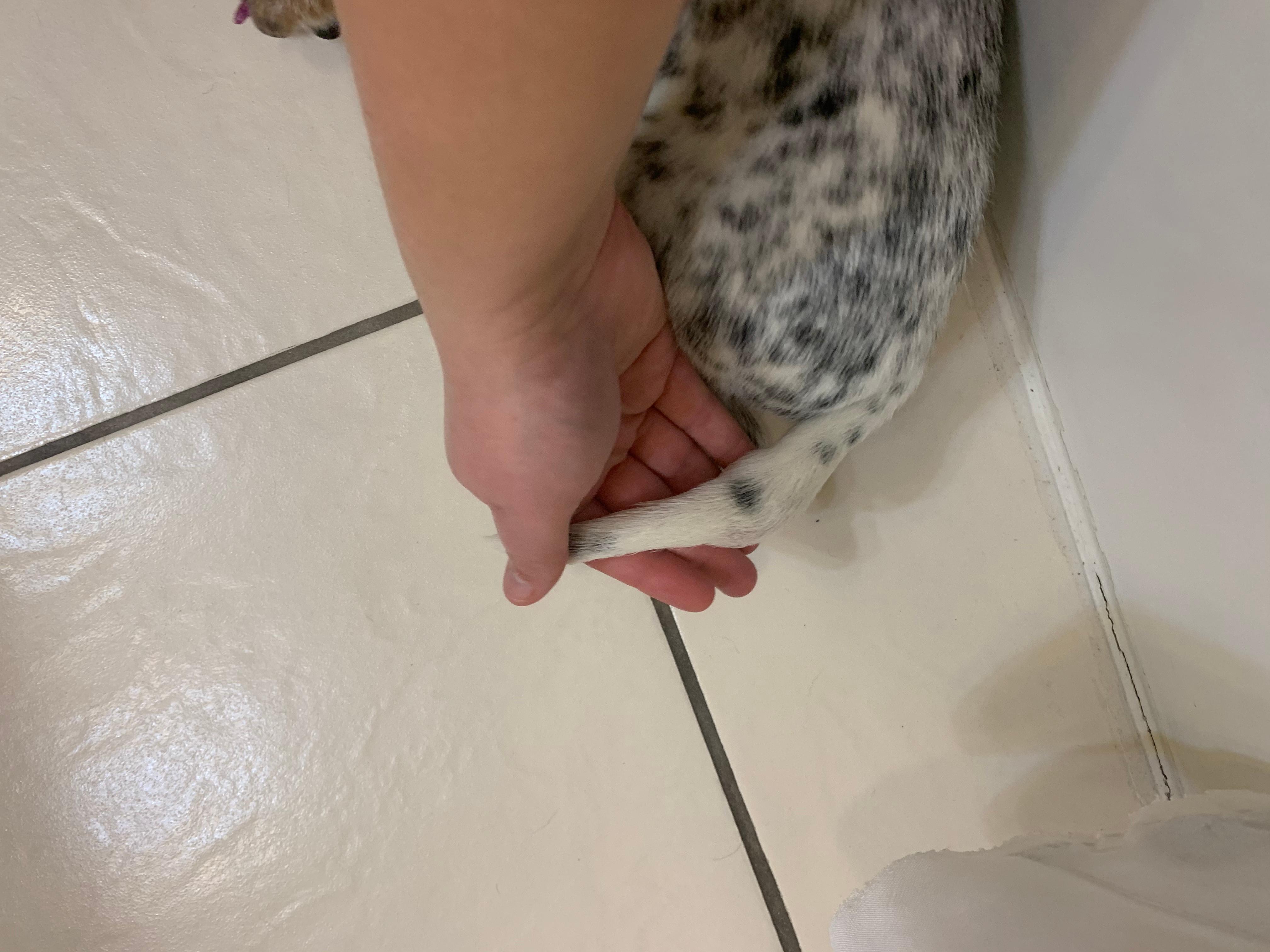 Question details sensitive content