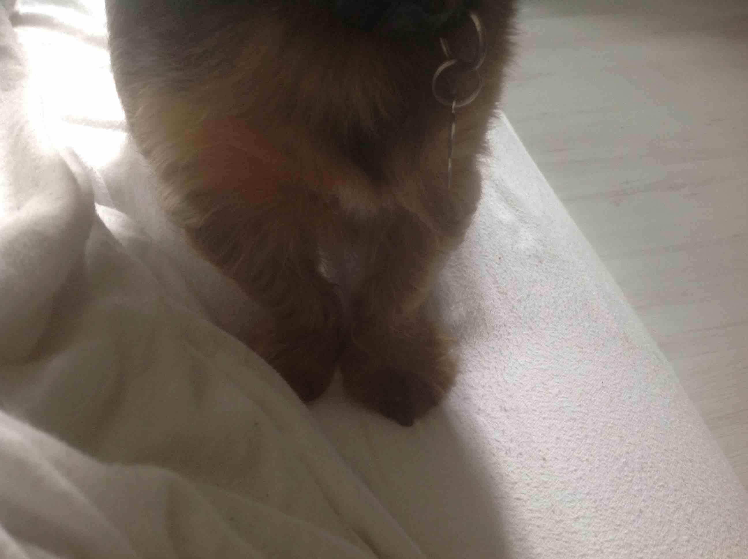 Question details sensitive content