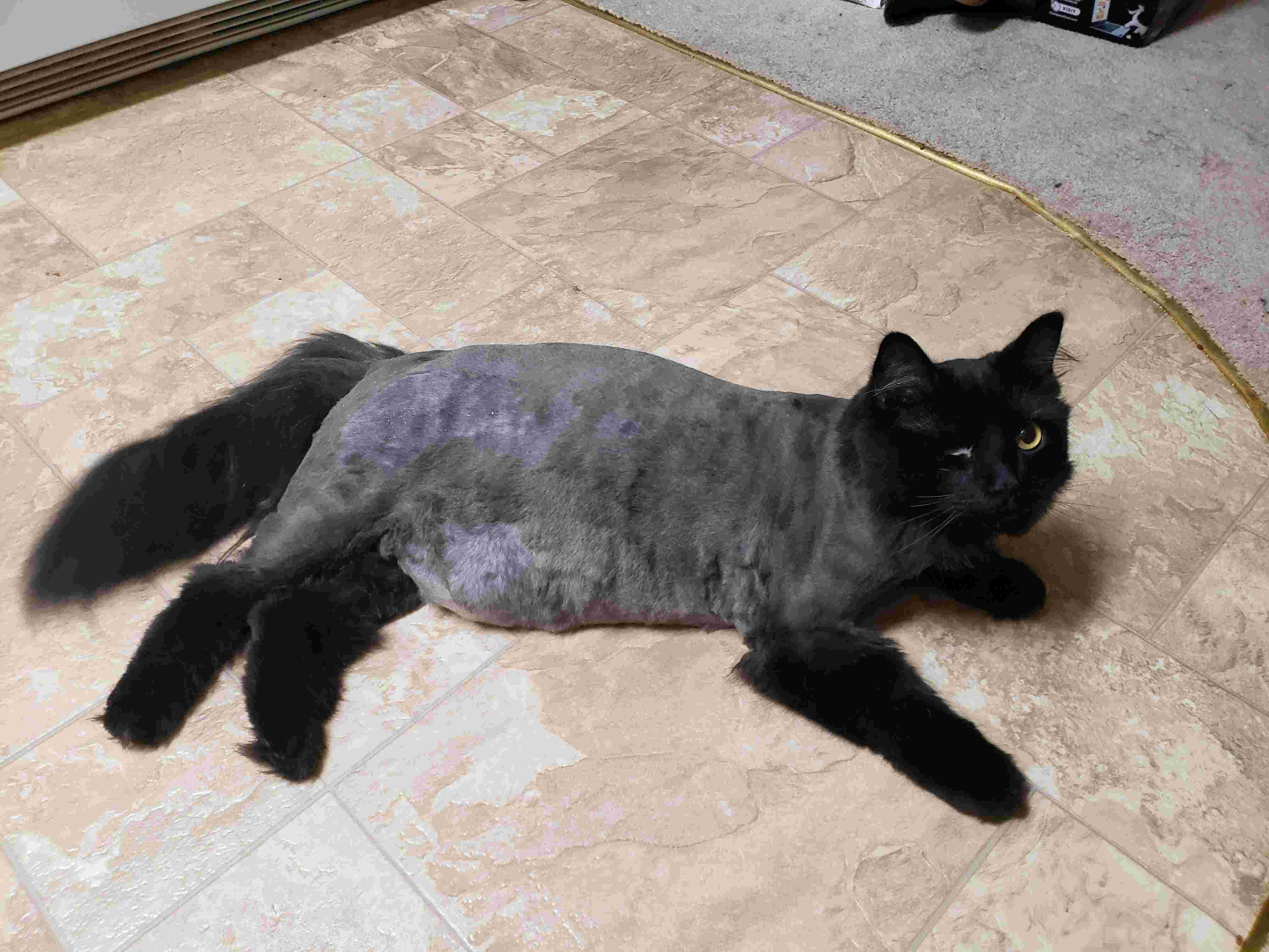 Question details sensitive content