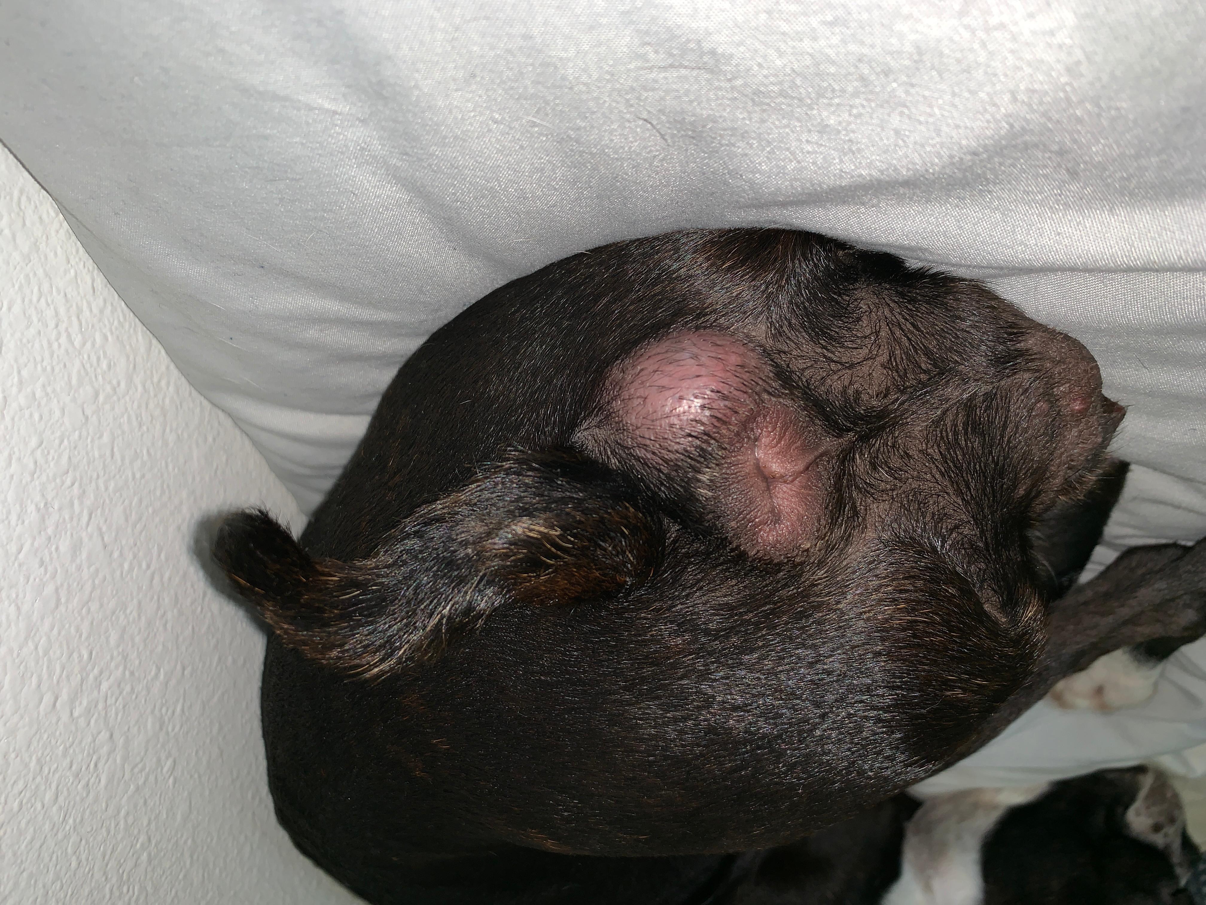 Question details sensitive content