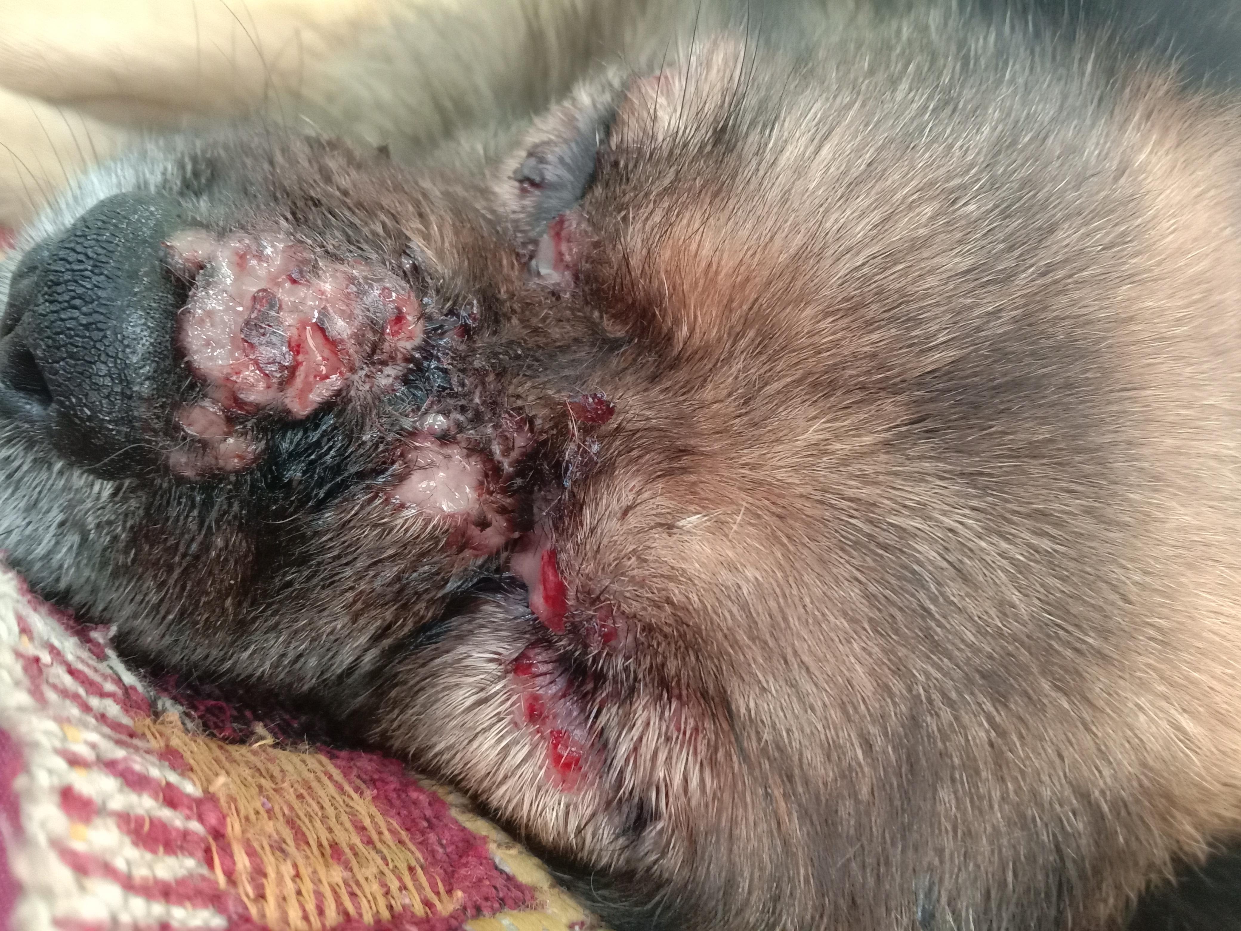 Question details sensitive content