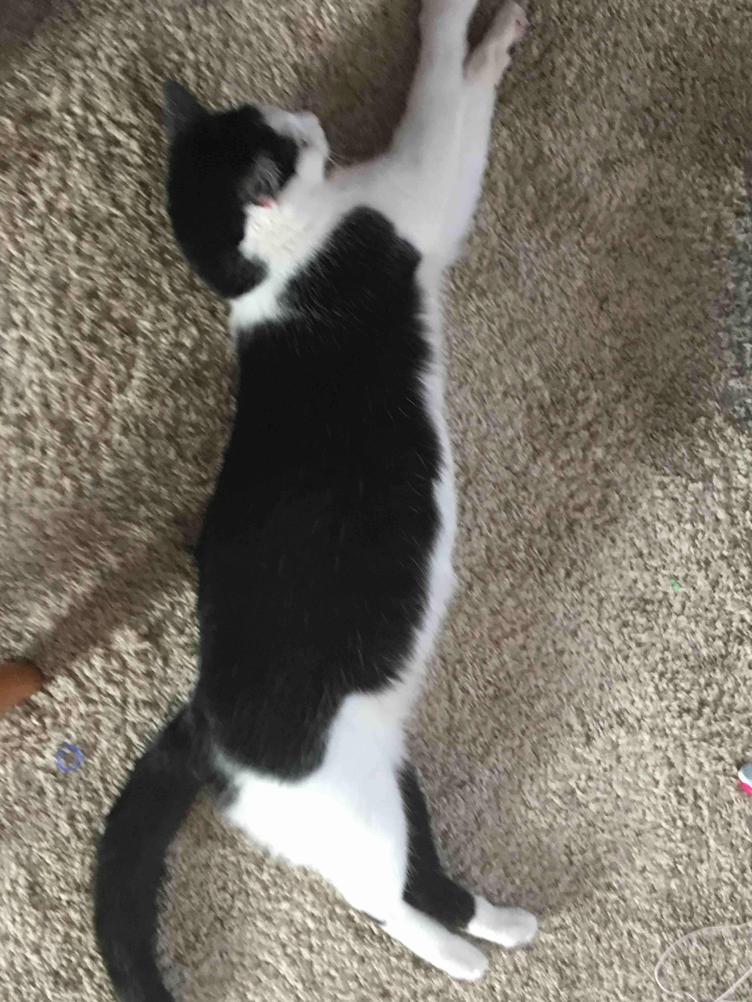 Question details sensitive content