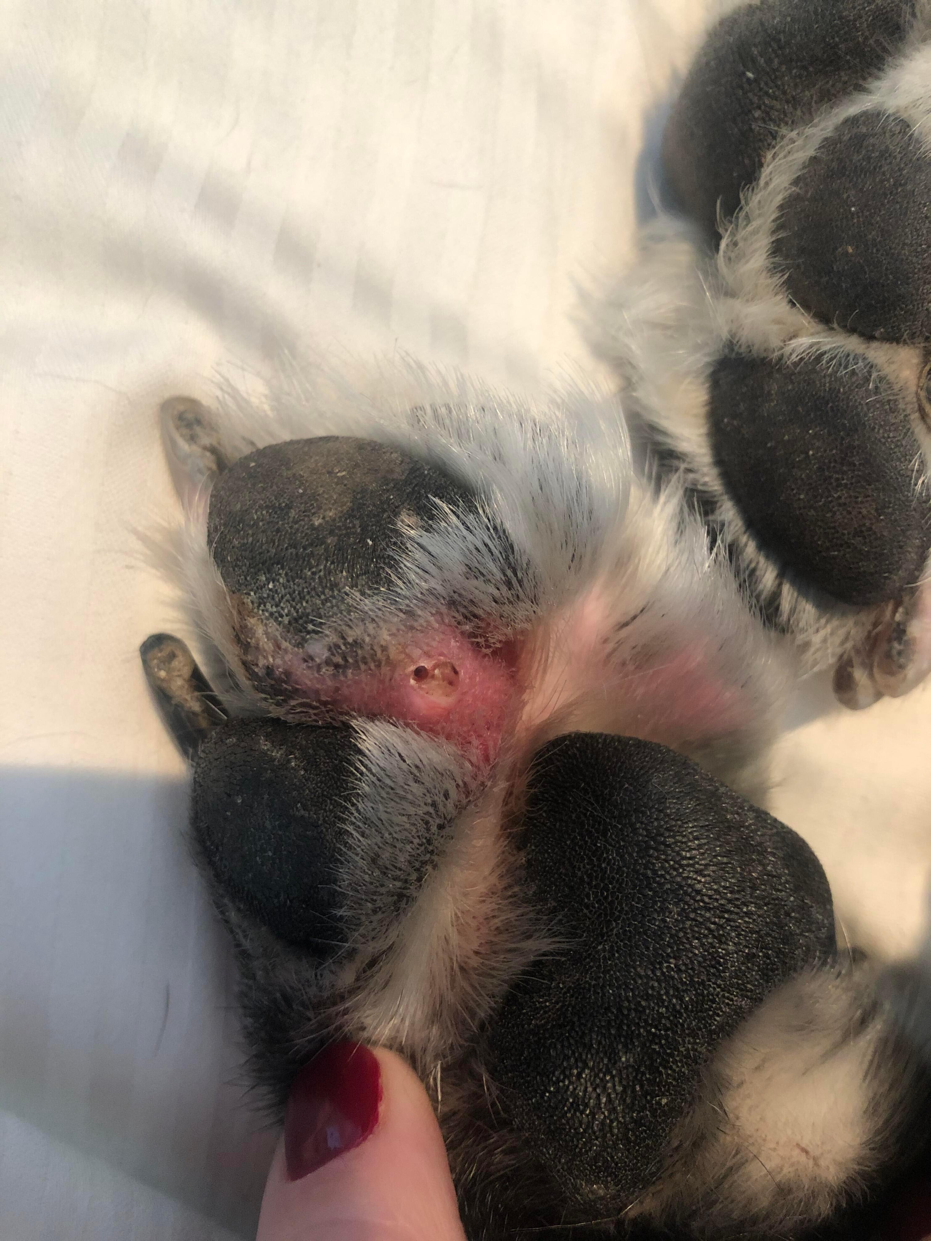 Question details sensitive content